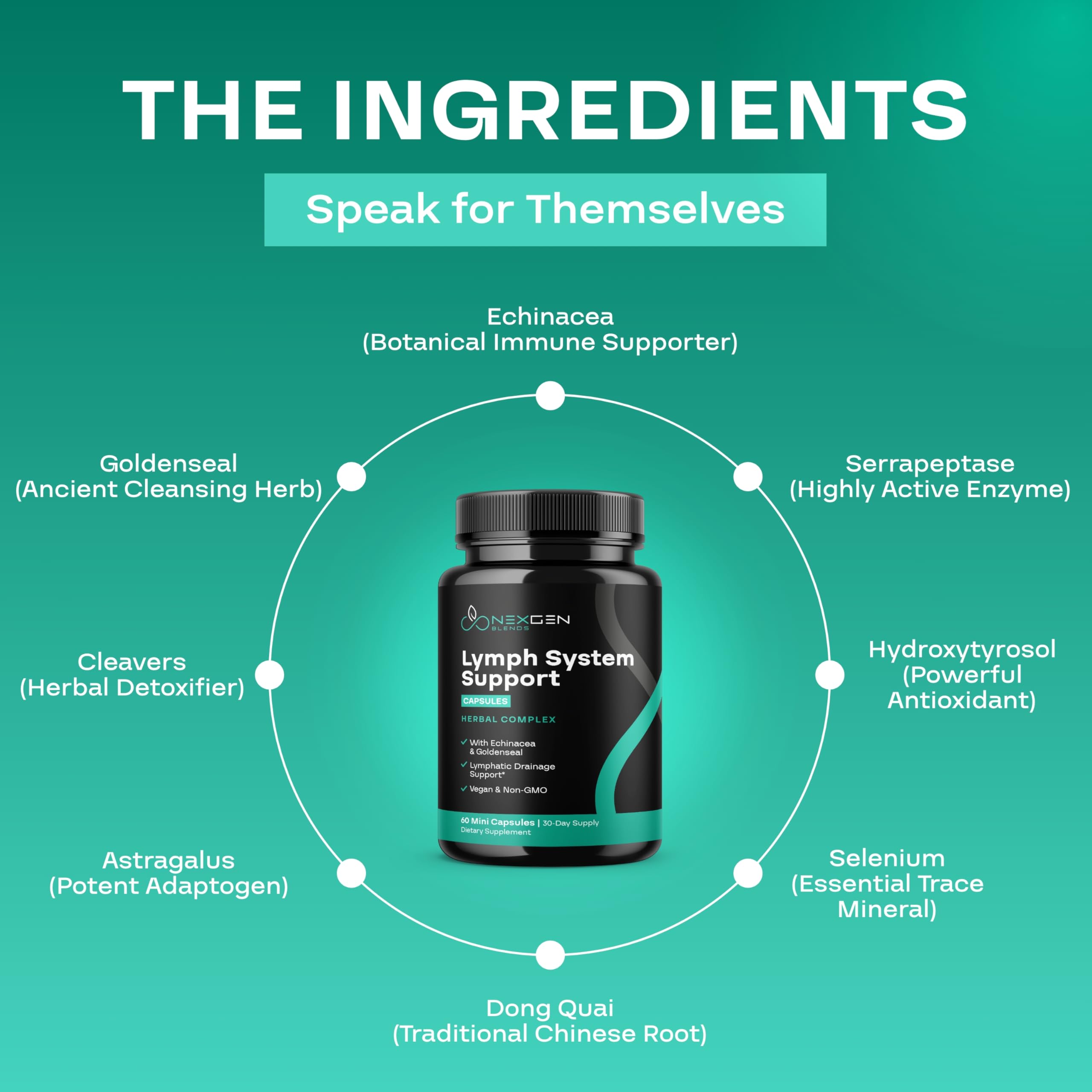 Herbal Lymph System Support - Vegan Lymphatic & Immune Support (1 Month)