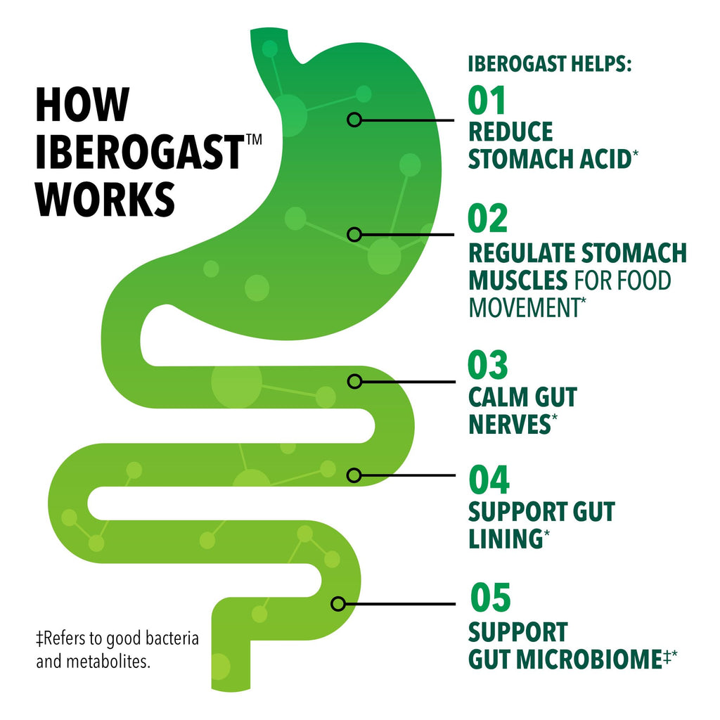 Iberogast Softgels – Herbal Digestive Relief for Occasional Upset (30 ct)