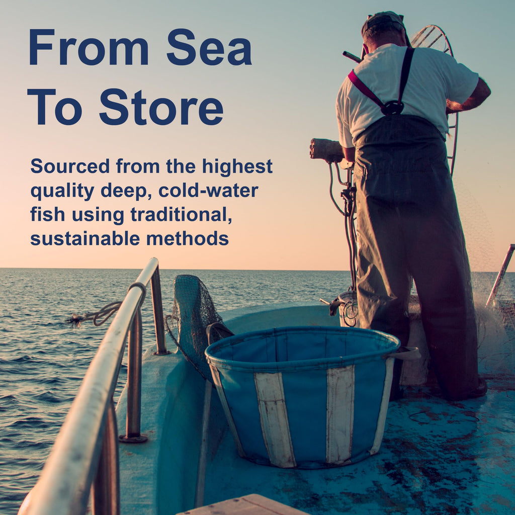 Carlson Cod Liver Oil 1000 mg + Vitamins A & D3 | Wild Norwegian, Sustainably Sourced | 100 Softgels