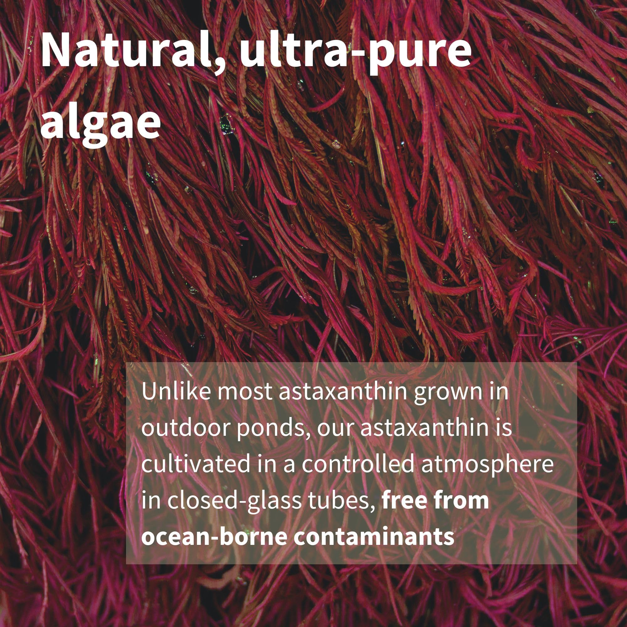 Igennus Vegan Astaxanthin 4mg Complex with Lutein & Zeaxanthin | 90 Softgels