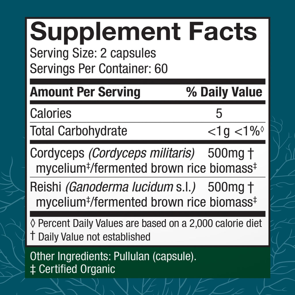 Host Defense CordyChi Capsules – Cordyceps & Reishi for Energy & Immune Support | 120 Capsules