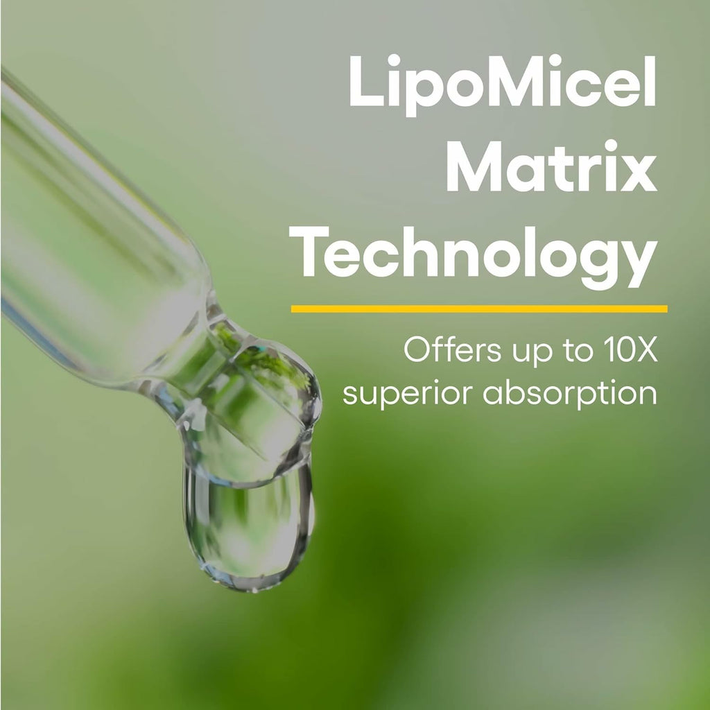 Natural Factors Quercetin Lipomicel Matrix — Immune & Capillary Support