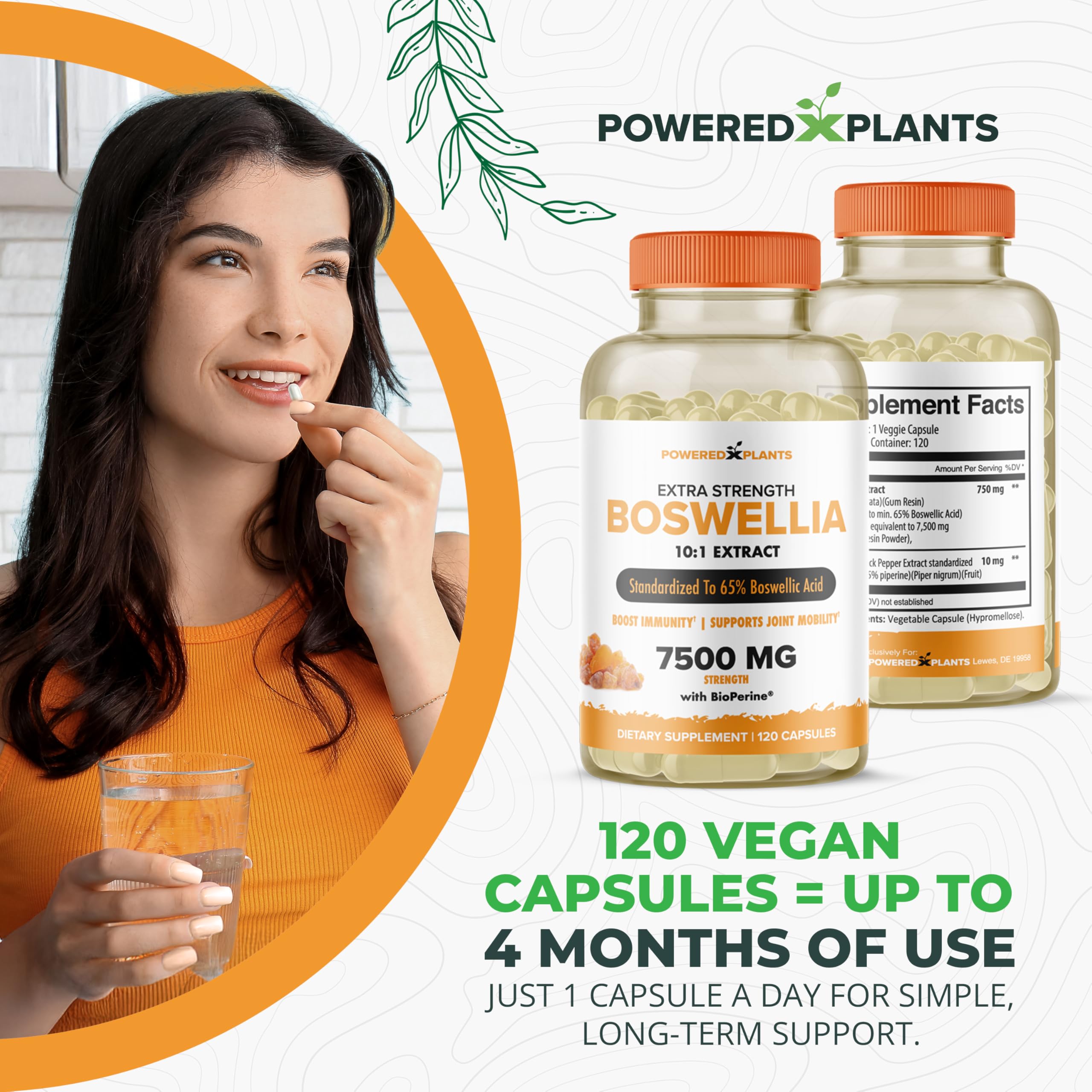 Boswellia Serrata Extract Joint Support – Powered by Plants | 65% Boswellic Acids + BioPerine | 120 Vegan Capsules