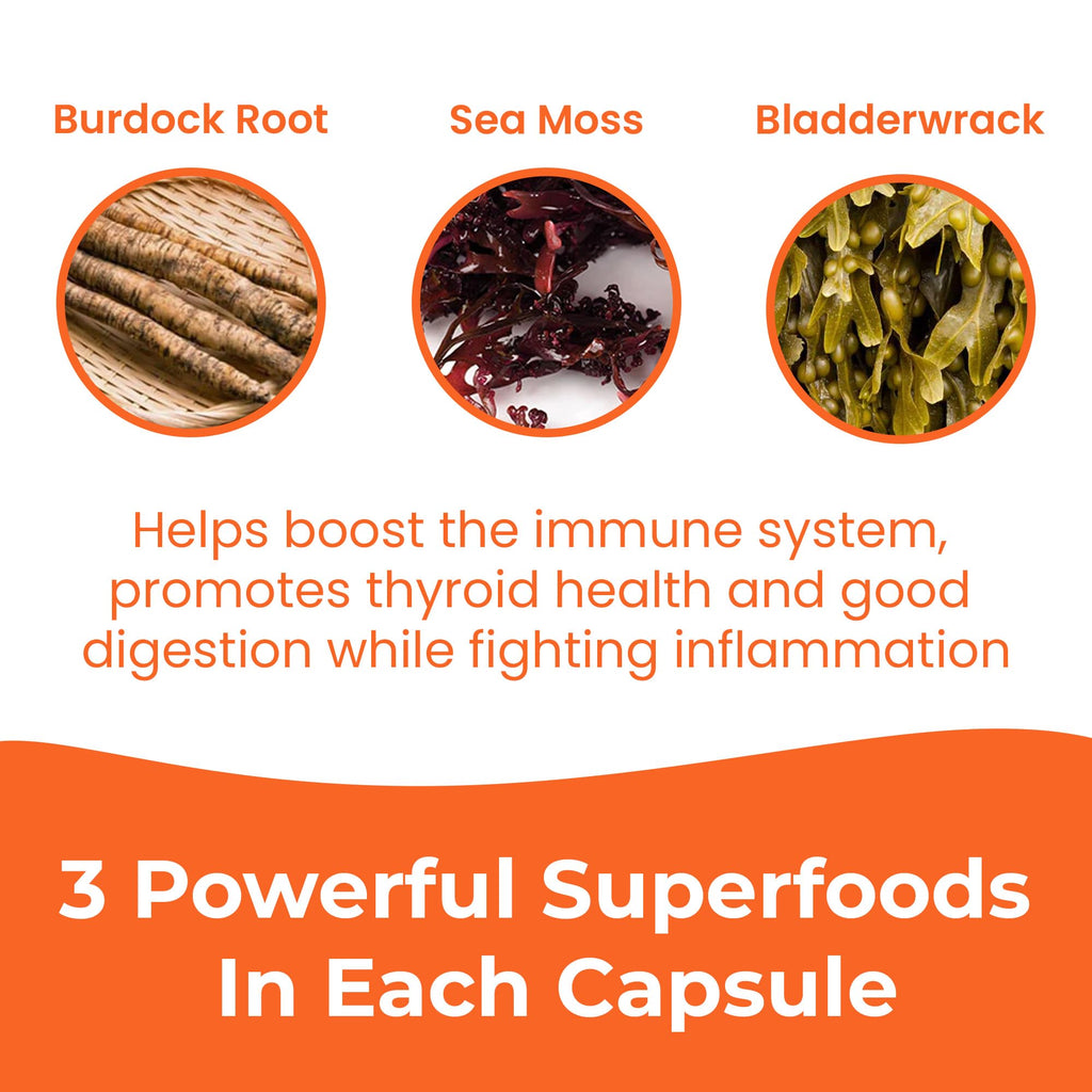 INFINITE AGE Sea Moss Capsules 3 Pack – 1250mg per serving, 180 Count, Vegan, USA Made