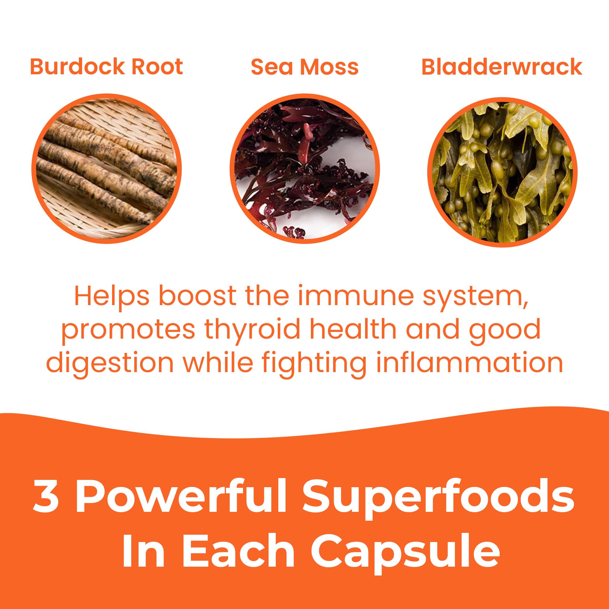 INFINITE AGE Sea Moss Capsules 3 Pack – 1250mg per serving, 180 Count, Vegan, USA Made