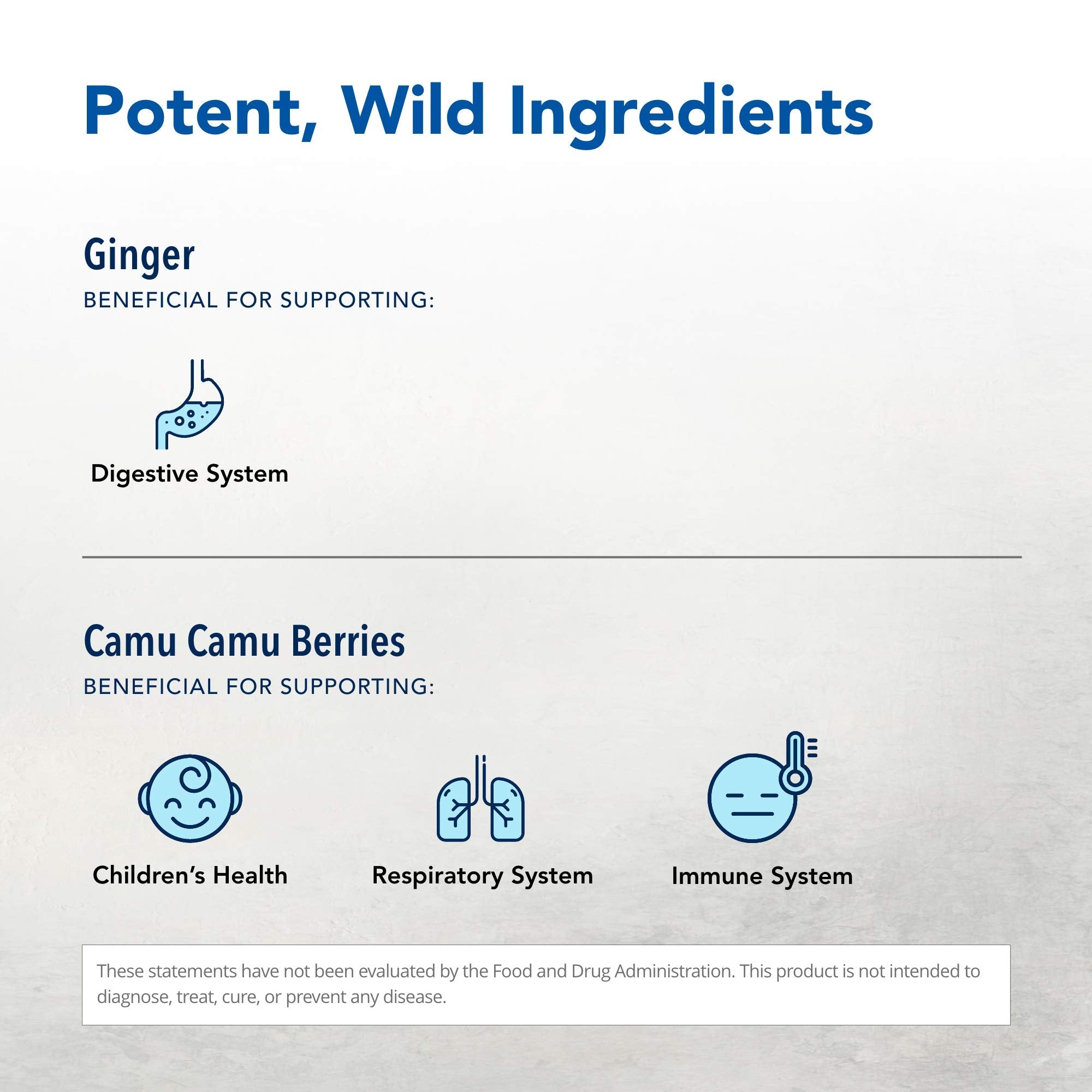 Inflam-EEZ by North American Herb & Spice - 90 VegiCaps | Immune & Inflammation Support