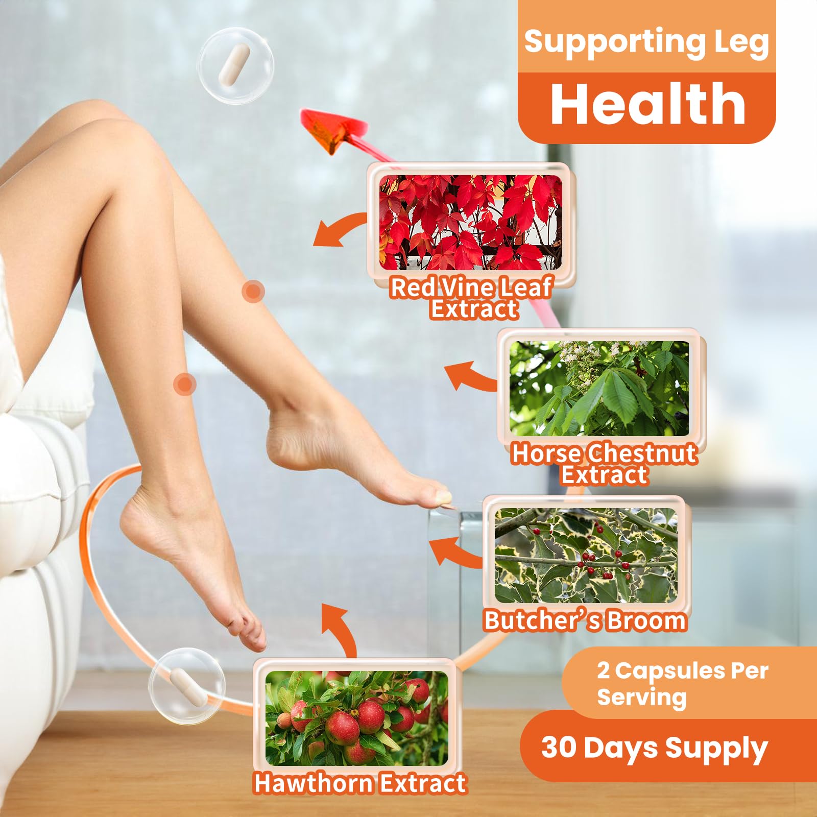 inGreens Red Vine Leaf Extract 1630mg with Horse Chestnut – Varicose Veins Support, 60 Capsules (Made in USA)