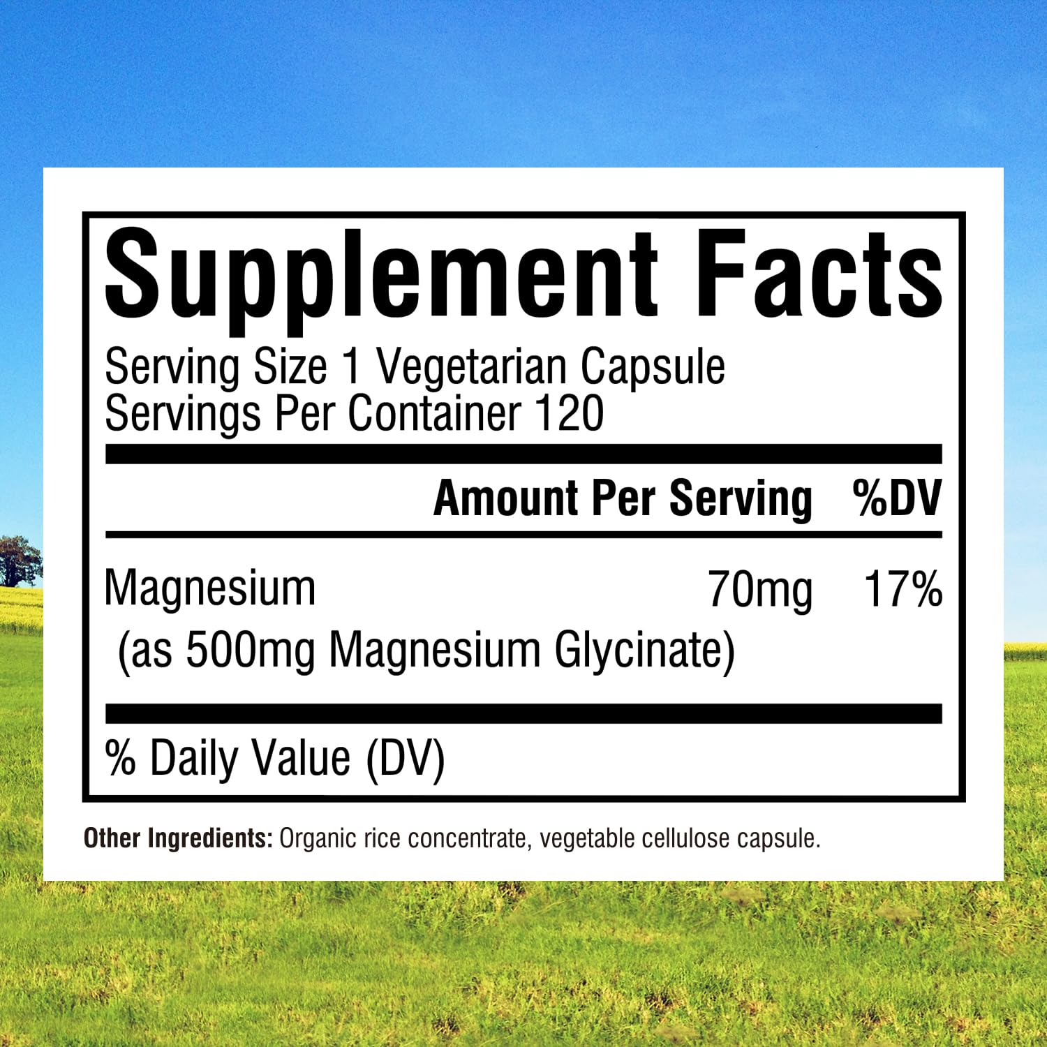 Innate Vitality Magnesium Glycinate 500mg – 70mg Elemental Magnesium, High Absorption | Non-GMO, Gluten-Free | Supports Nerve, Heart & Bone Health | 240 Vegan Capsules