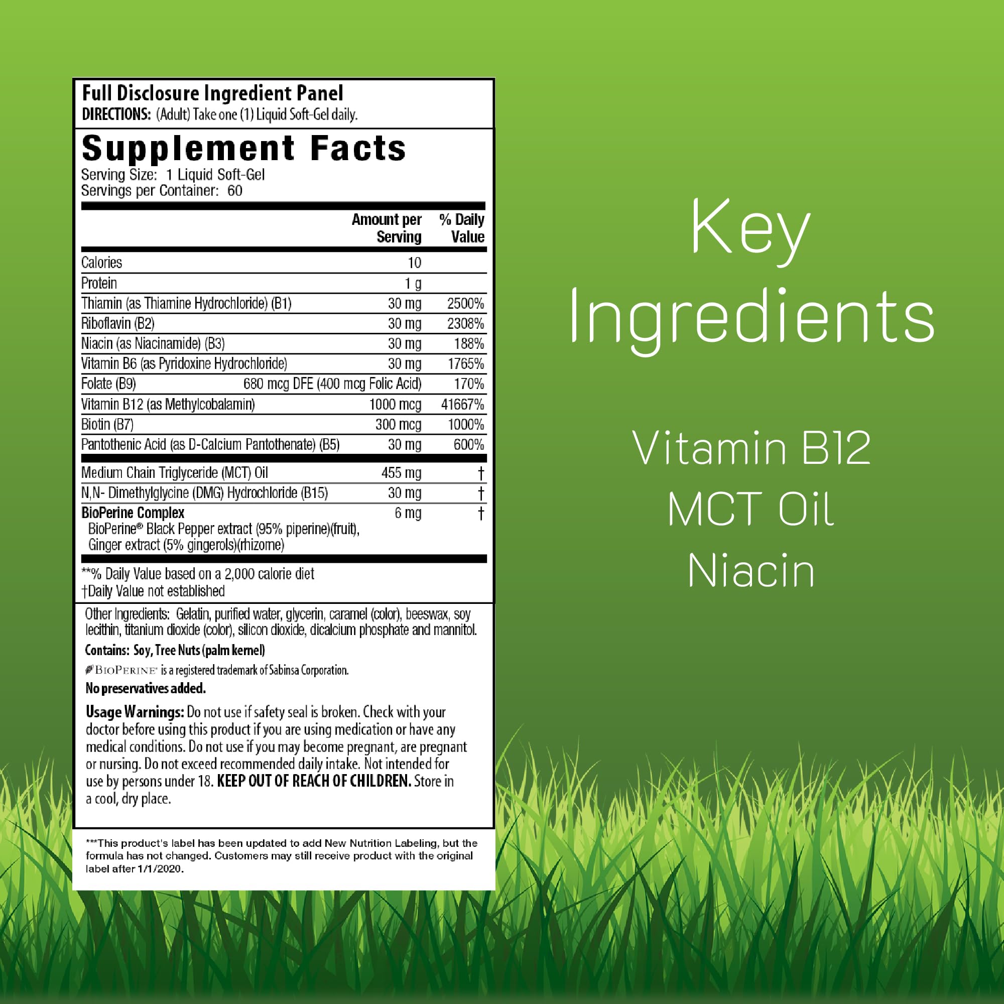 Irwin Naturals Mega B-Complex - 60 Liquid Softgels | High Potency B Vitamins with MCTs