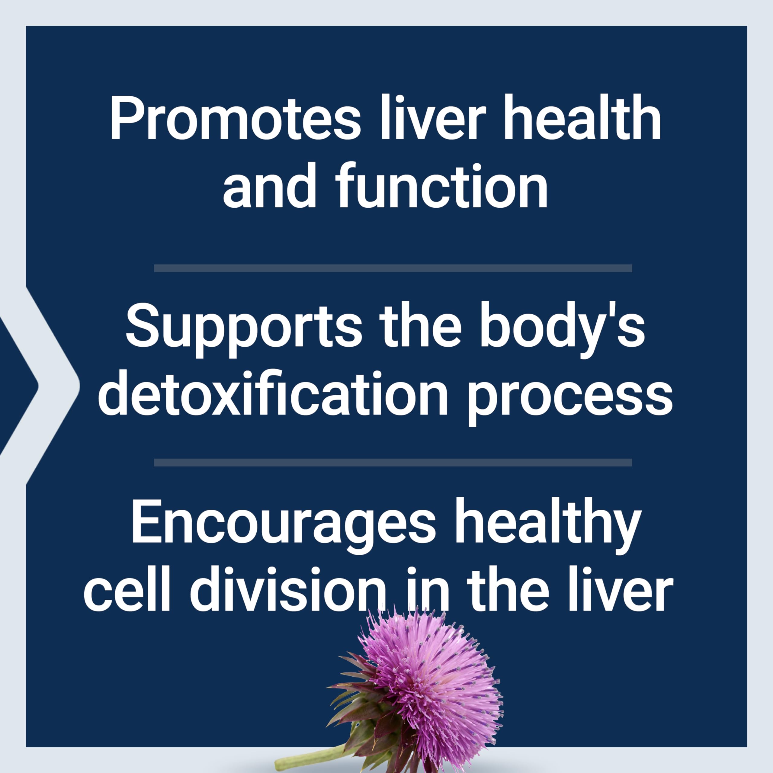 Life Extension Milk Thistle – Full-Spectrum Silymarin for Liver Health | Non-GMO, Gluten-Free, 60 Vegetarian Capsules