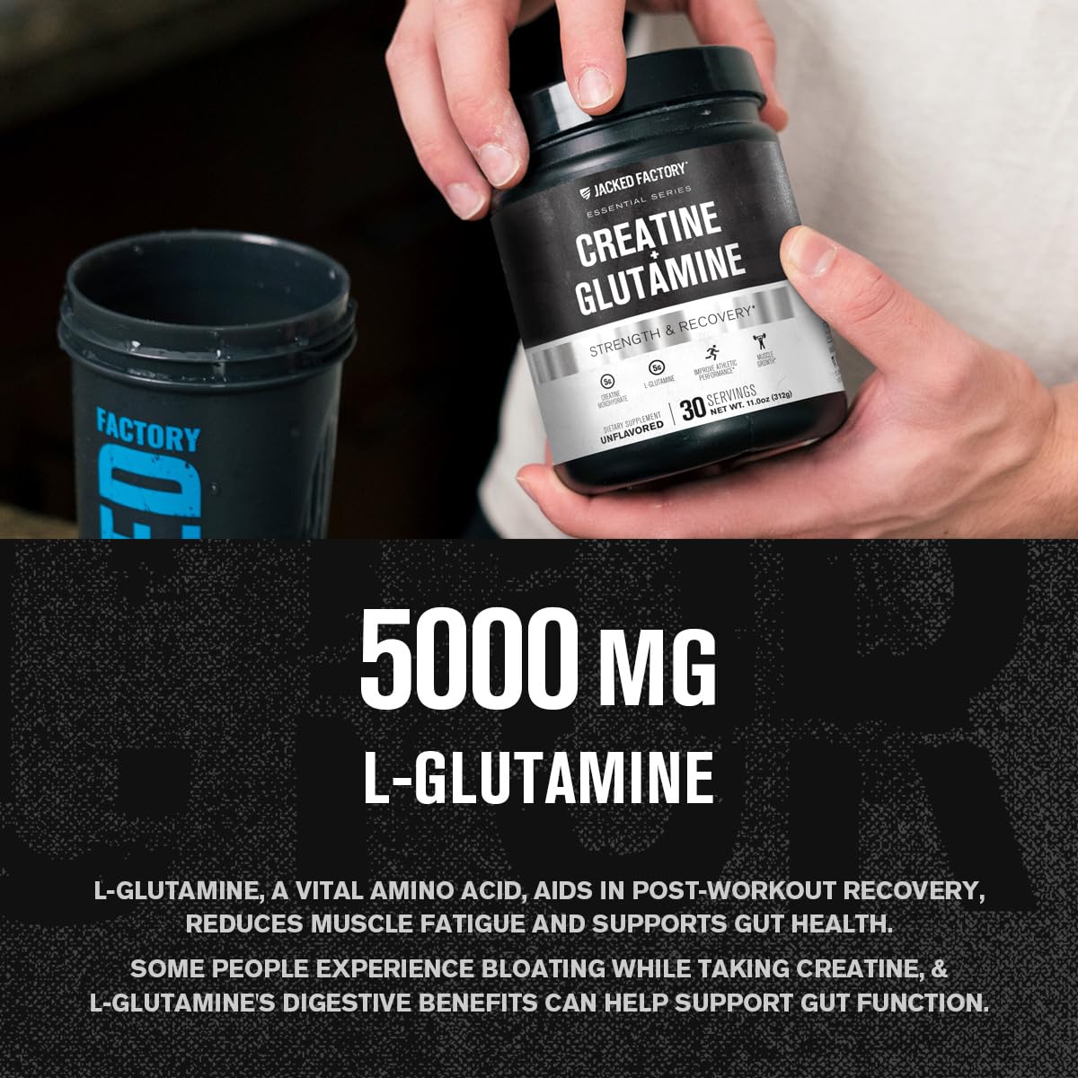 Jacked Factory Creatine + Glutamine – Creatine Monohydrate + L-Glutamine for Muscle Recovery, Strength, and Gut Health | 30 Servings, Unflavored