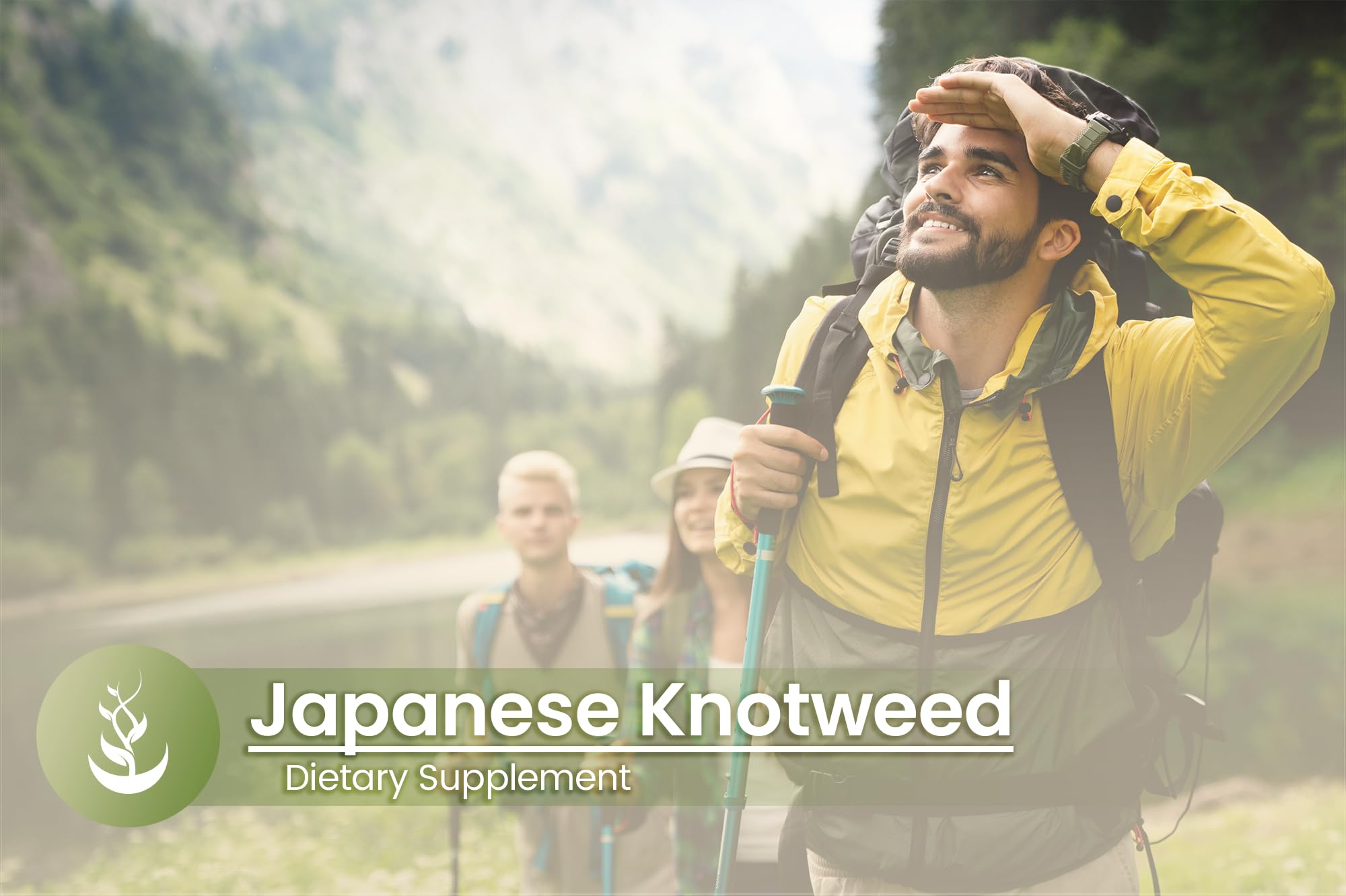 Pure Original Japanese Knotweed Capsules – 100 Count, Pack of 2 | Lab Verified, No Additives