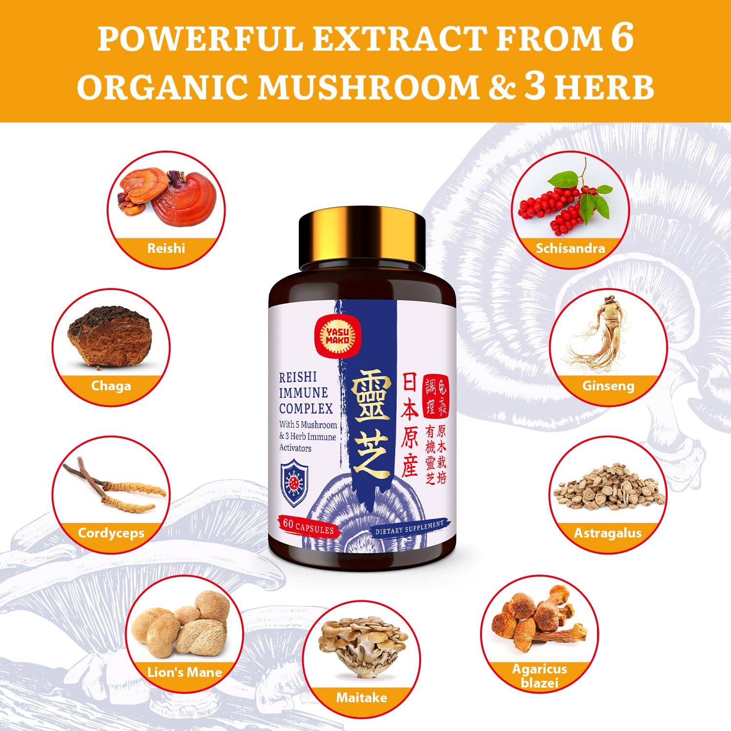 Japanese Reishi 1500mg – 9-in-1 Organic Mushroom Capsules (Immune & Brain)