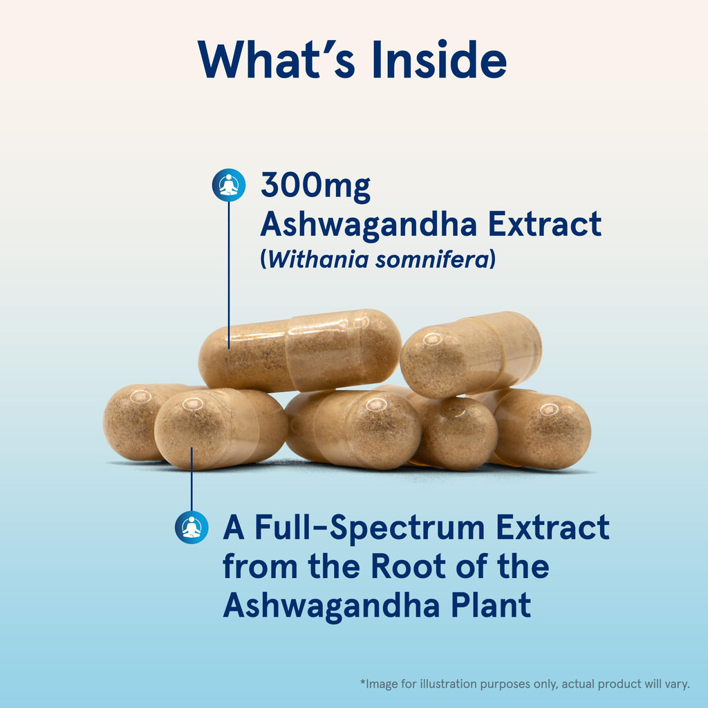Jarrow Formulas Ashwagandha 300 mg – 120 Veggie Capsules | Supports Endurance, Recovery & Cognitive Health | 60 Servings (Pack of 12)