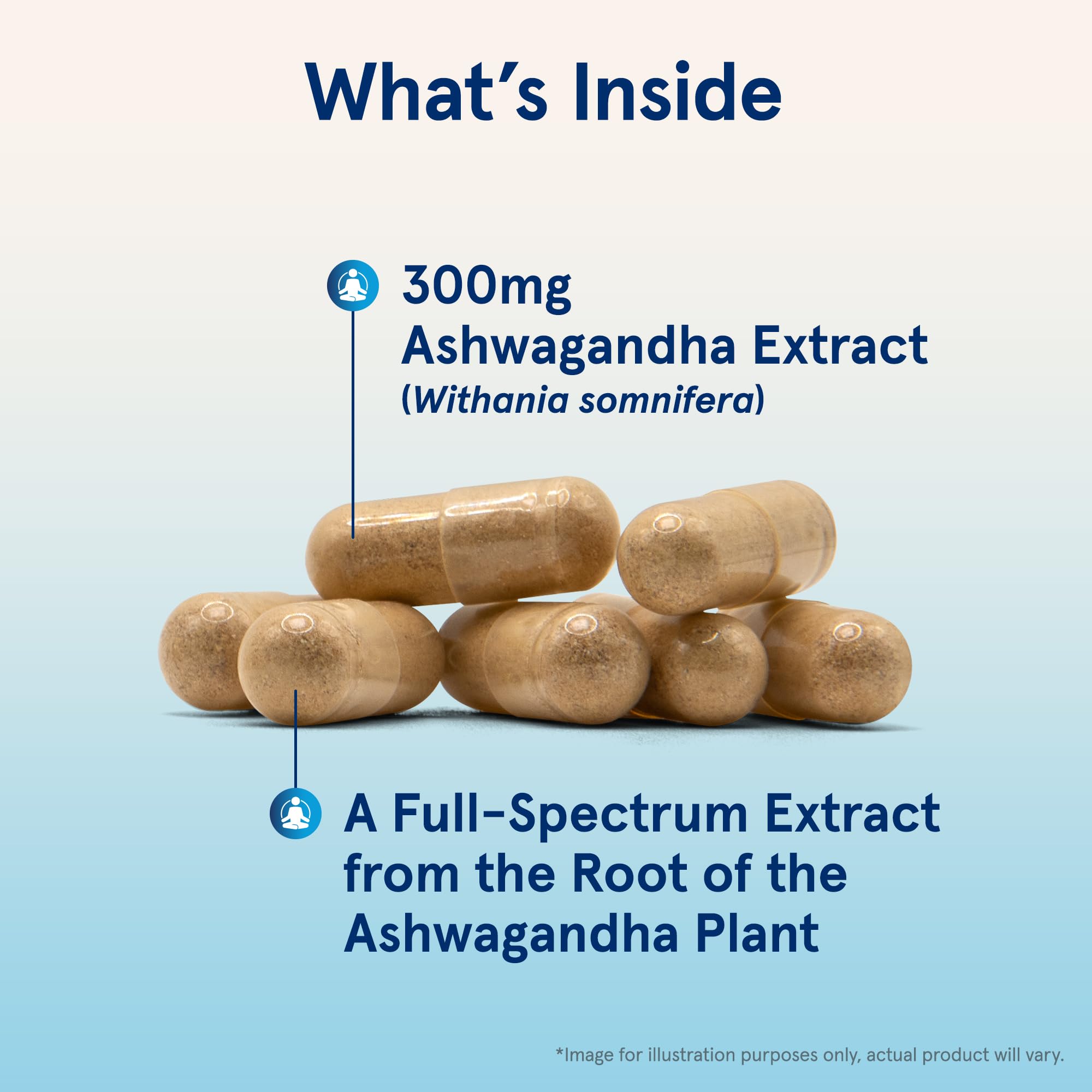 Jarrow Formulas Ashwagandha 300 mg – 120 Veggie Capsules | Supports Endurance, Recovery & Cognitive Health | 60 Servings (Pack of 12)