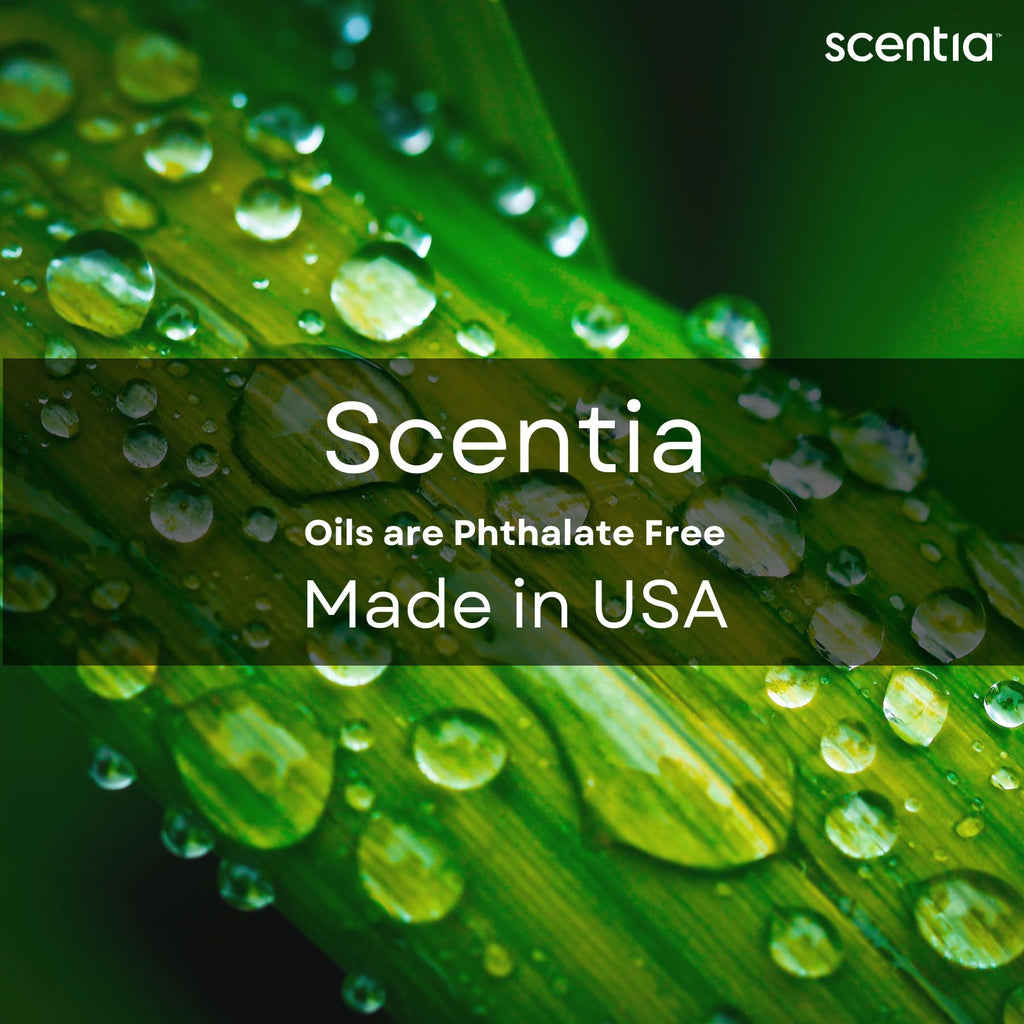 Scentia Nobu Essence Diffuser Oil – 500 mL | Inspired by Nobu Hotel Scent