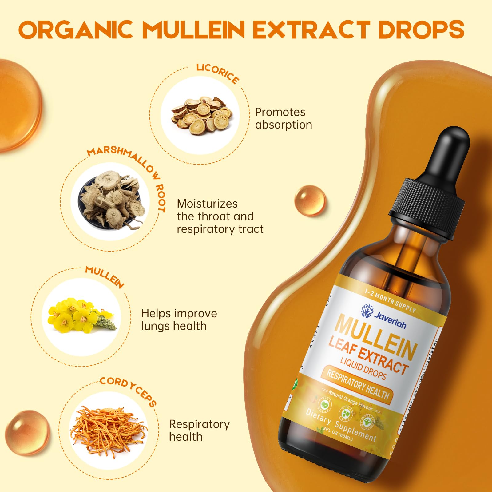 Javeriah Mullein Drops for Lungs Cleanse - 2 Fl Oz with Cordyceps, Marshmallow Root & Licorice Root