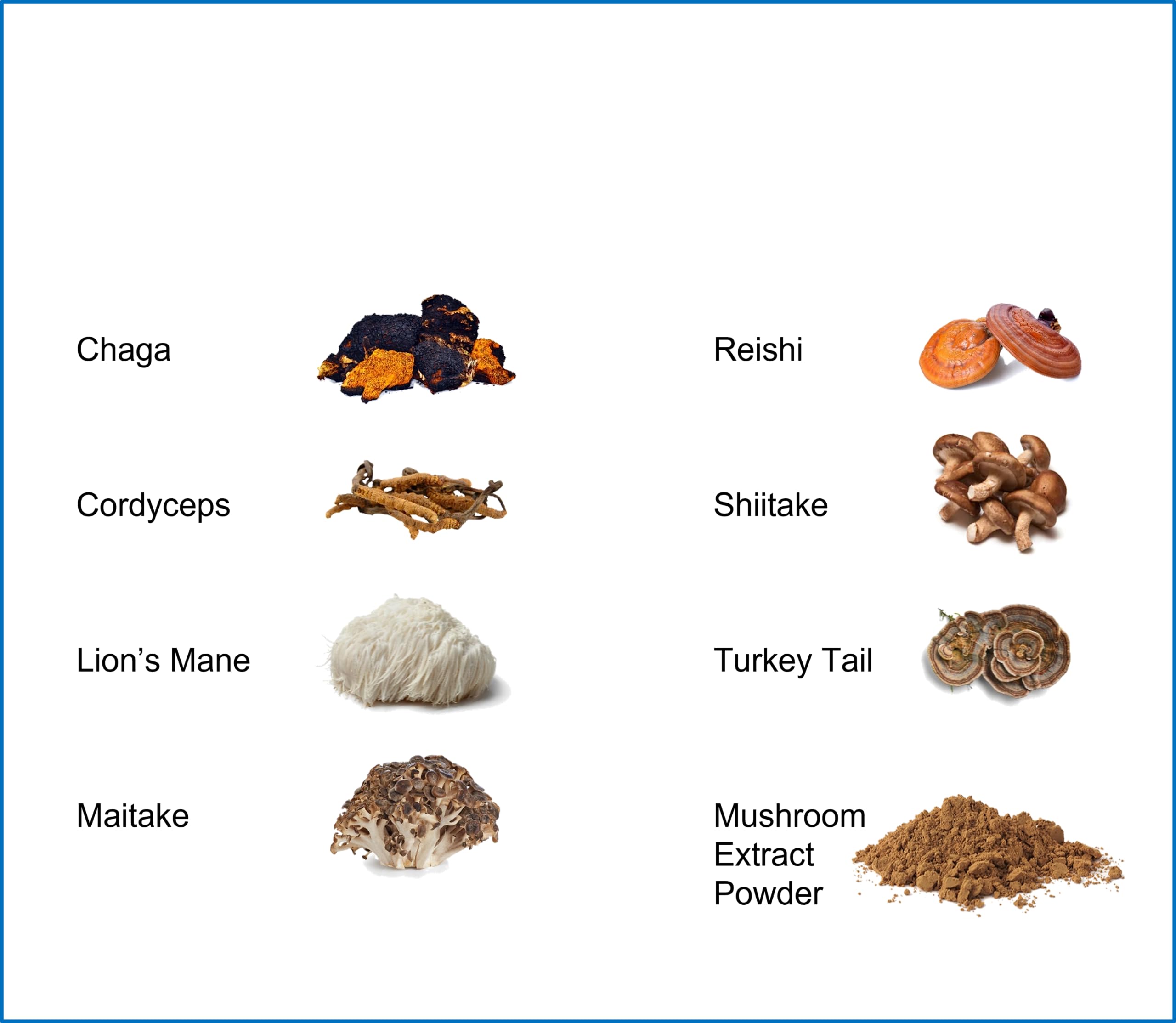 Jetsu Pure 7 Organic Mushroom Extract Powder, Chaga, Cordyceps, Lion's Mane, Maitake, Reishi, Shiitake & Turkey Tail Mushrooms Supplement, for Immune Support, Focus, Energy