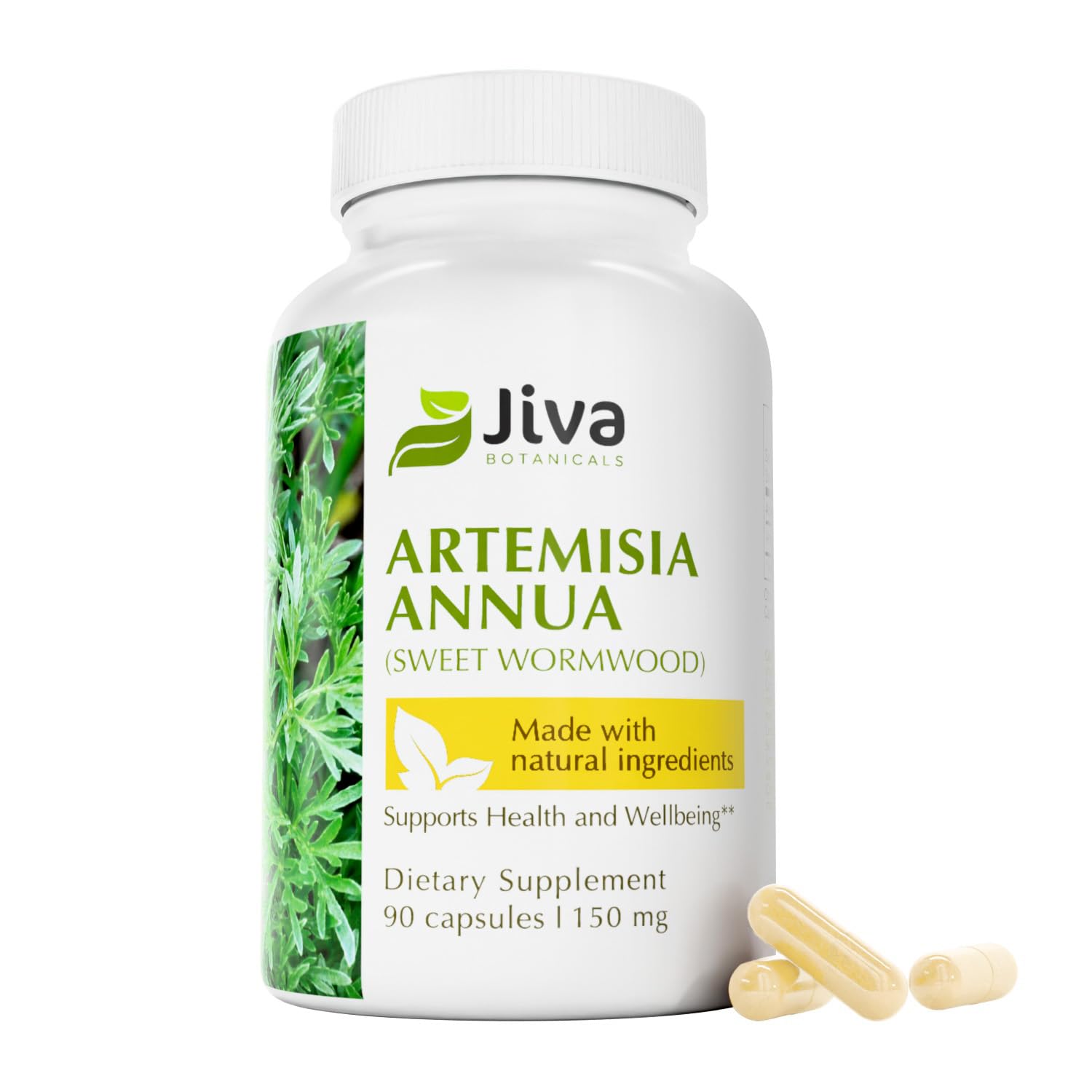 Jiva Botanicals Artemisia Annua Wormwood Capsules – Immune & Liver Health – USA Made (90 Capsules)
