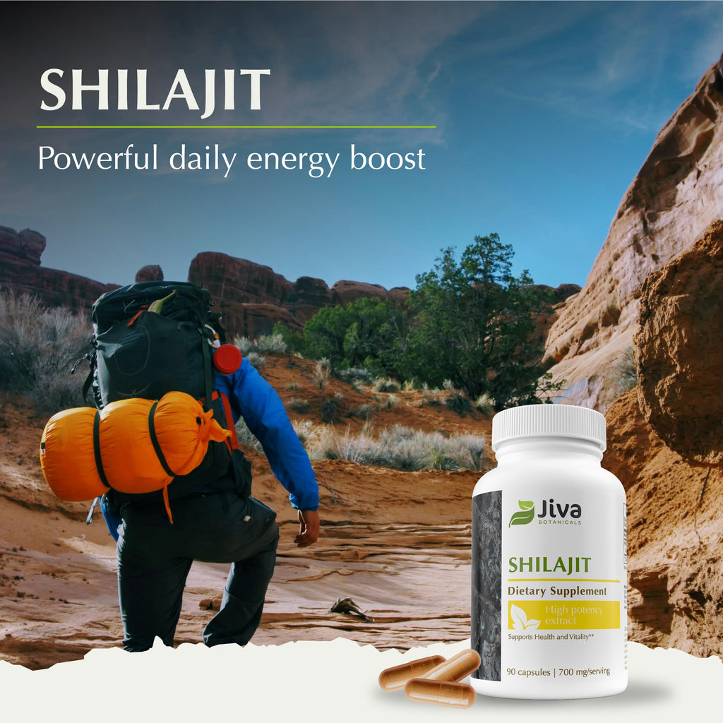 Jiva Botanicals Shilajit Capsules 700 mg – Fulvic Acid, 90 Vegan Caps
