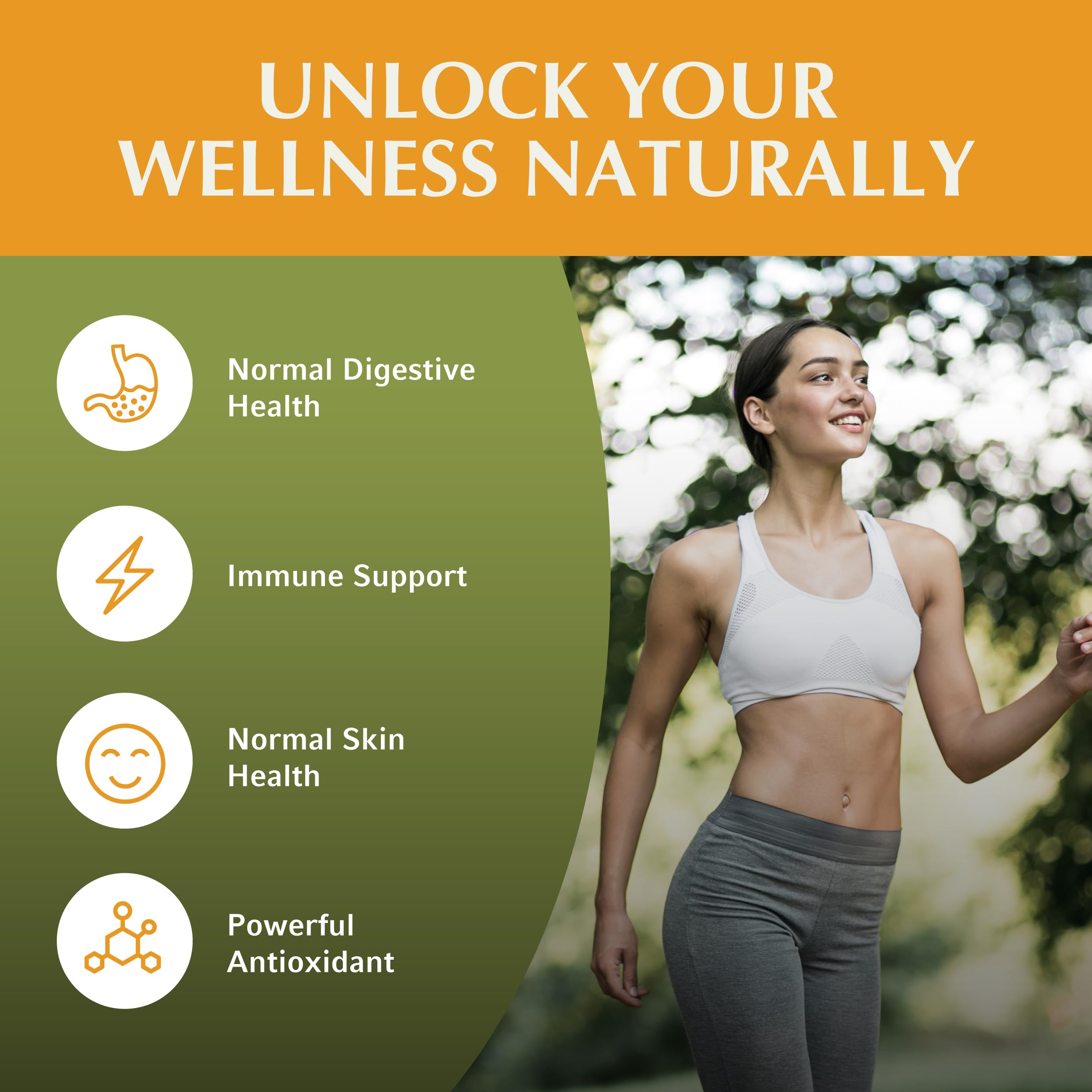 Jiva Botanicals Triphala Supplement – Digestive Health & Immune Support | 60 Capsules