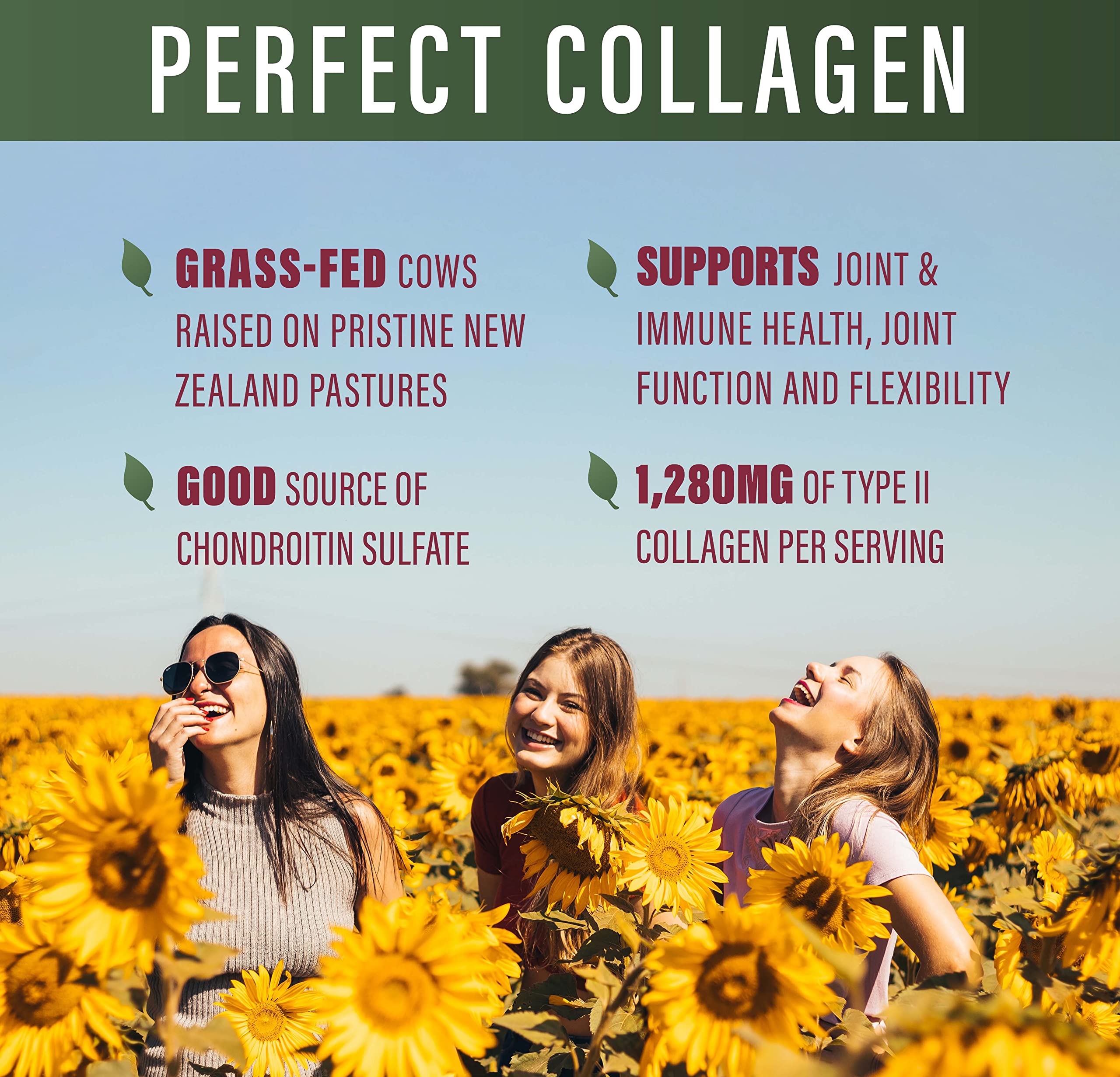 Perfect Type II Collagen – 150 Capsules | Pasture Raised | Joint Support