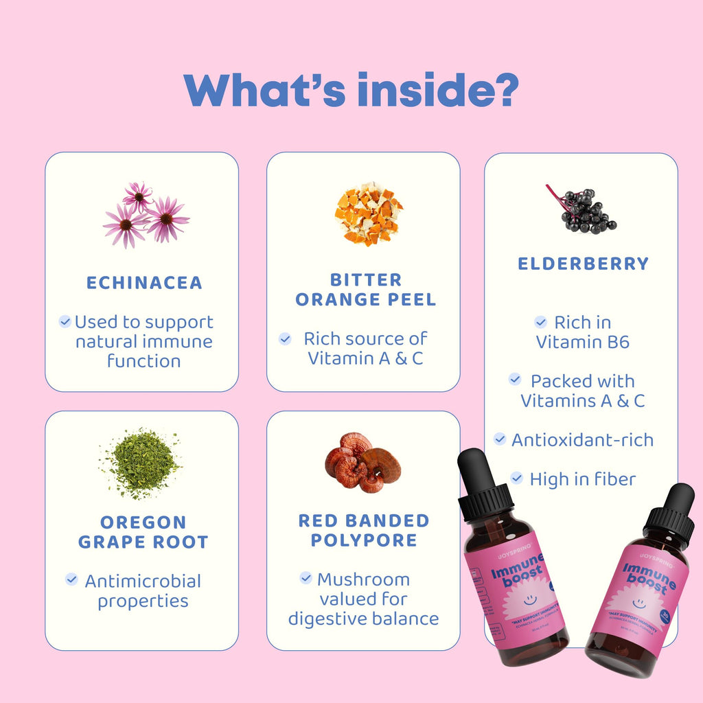 JoySpring Immune Drops – Kids & Family Immune Support Liquid (2 fl oz) with Echinacea, Elderberry