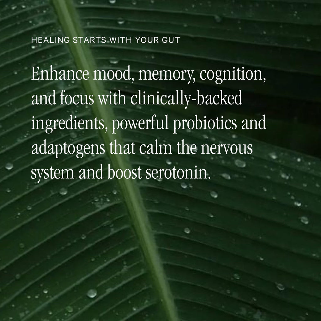 Juna Gut Therapy | Advanced Brain & Gut Health - 80 Caps