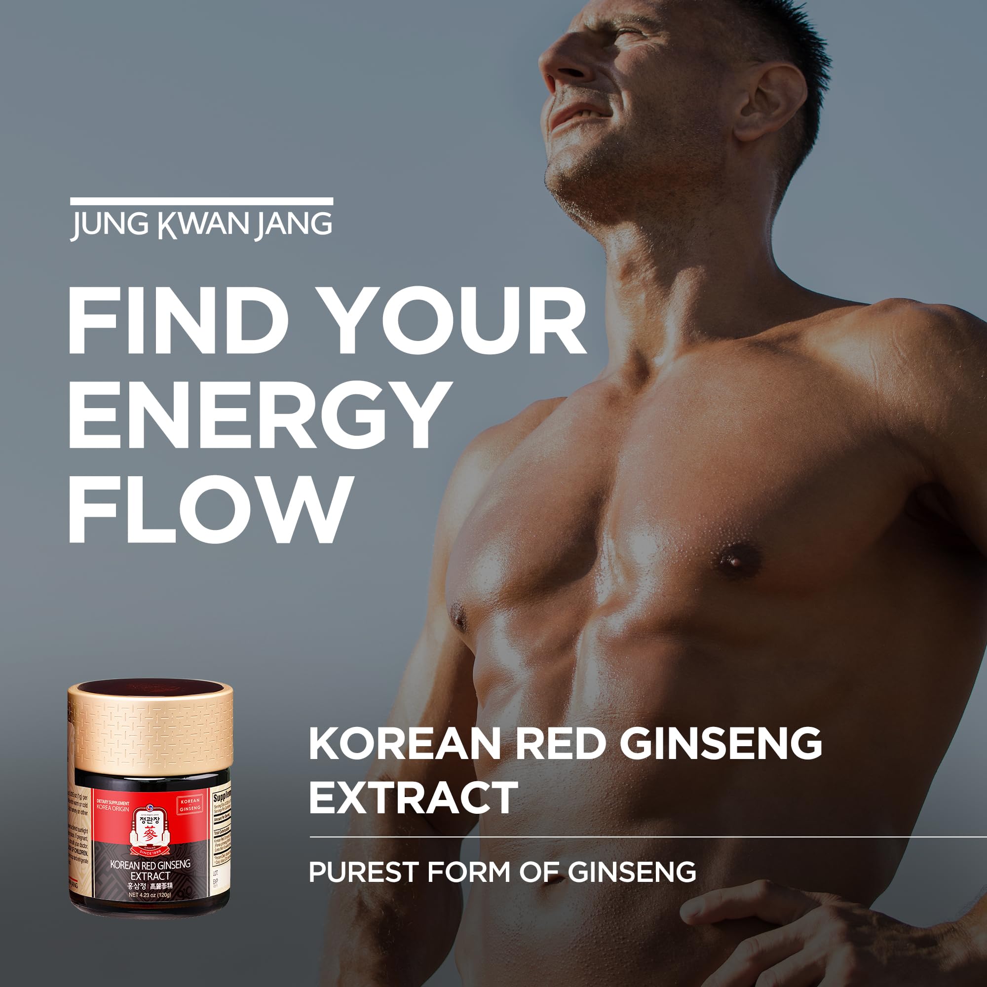 JUNG KWAN JANG Korean Red Ginseng Concentrated Extract 120g | Premium Korean Ginseng Roots