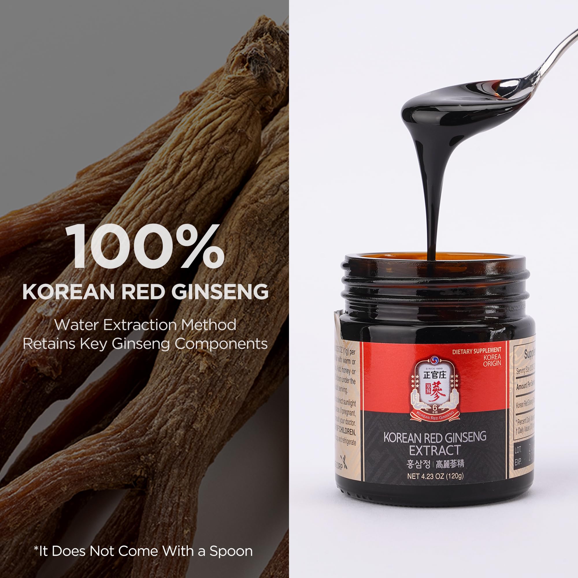 JUNG KWAN JANG Korean Red Ginseng Concentrated Extract 120g | Premium Korean Ginseng Roots