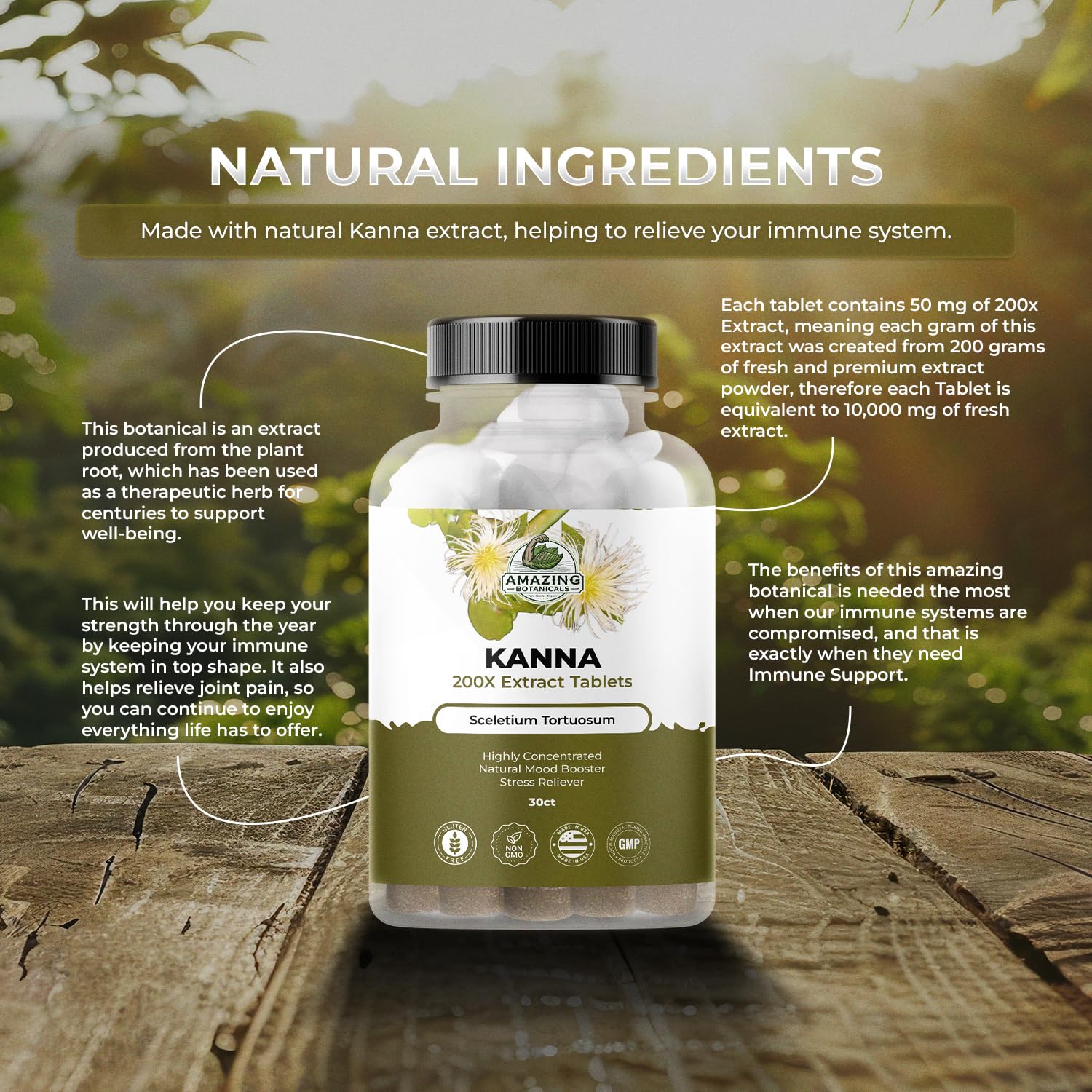 Amazing Botanicals Kanna Extract Tablets – Sceletium Tortuosum (10,000 mg per Tablet) – 30 Tablets