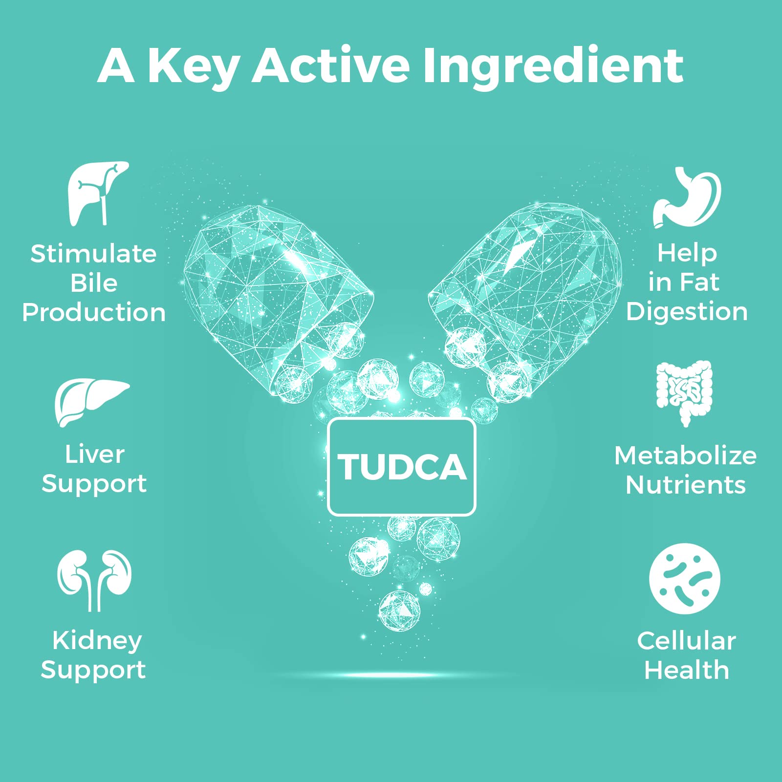 Kayseari TUDCA Bile Salts Supplement 1000mg – 180 Veggie Capsules for Liver Support