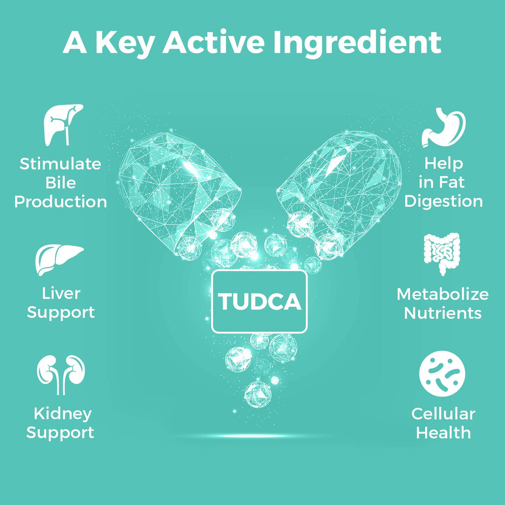 Kayseari TUDCA Bile Salts Supplement 1000mg – 180 Veggie Capsules for Liver Support