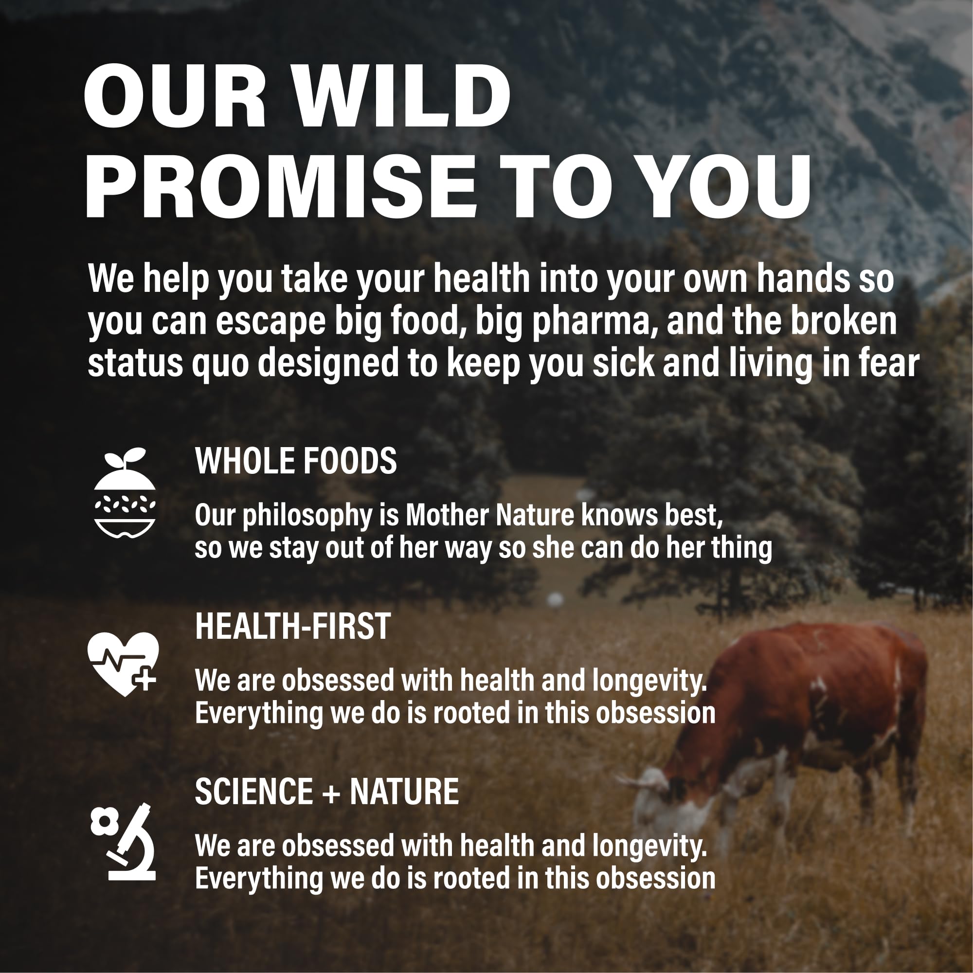 Wild Foods Beef Liver Capsules - 3000mg Grass-Fed & Pasture-Raised | 120 Softgels