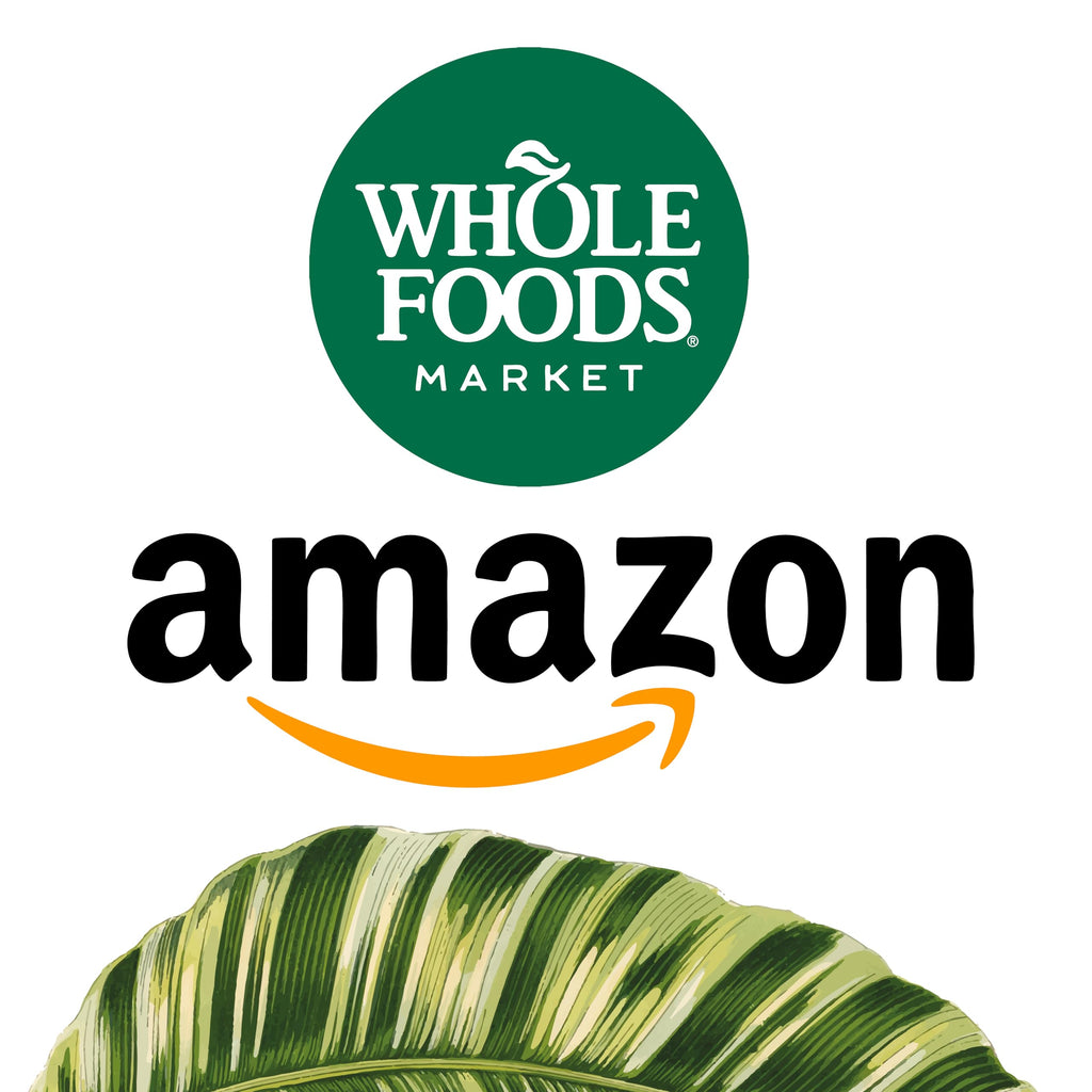 FORTE NATURALS Coconut Oil Softgels 1000mg | C8/C10 MCT for Brain & Gut Health