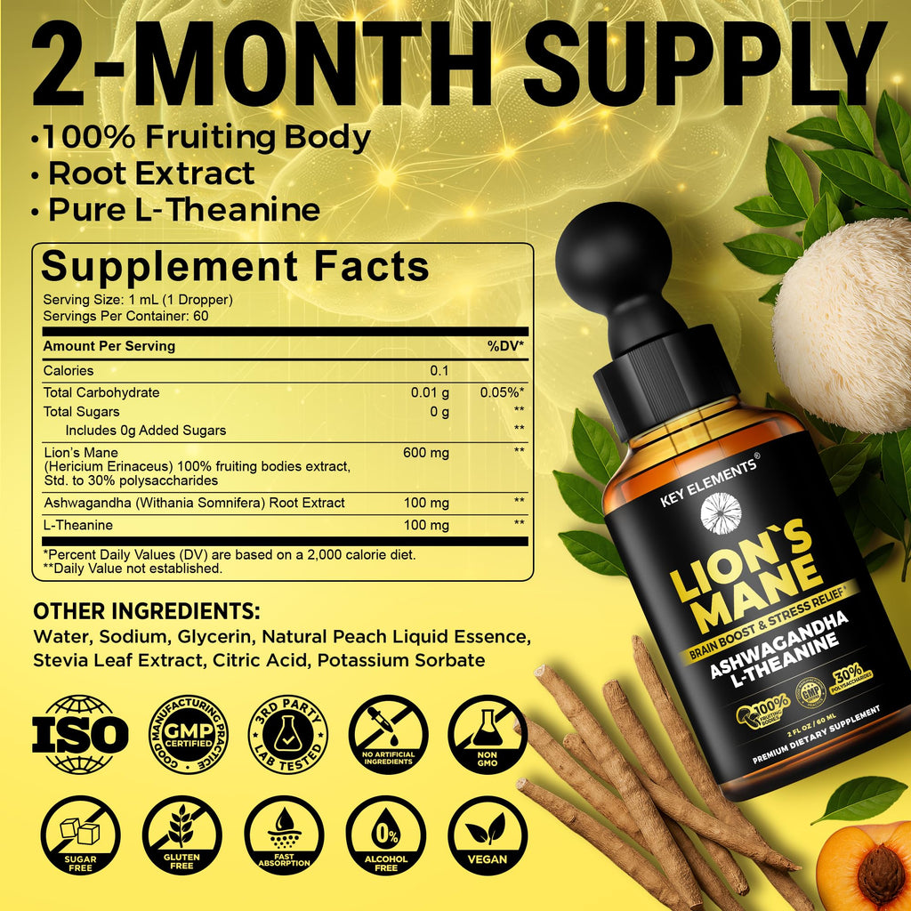 KEY ELEMENTS Lions Mane Extract for Memory, Focus & Brain Health – Tincture with Ashwagandha & L-Theanine
