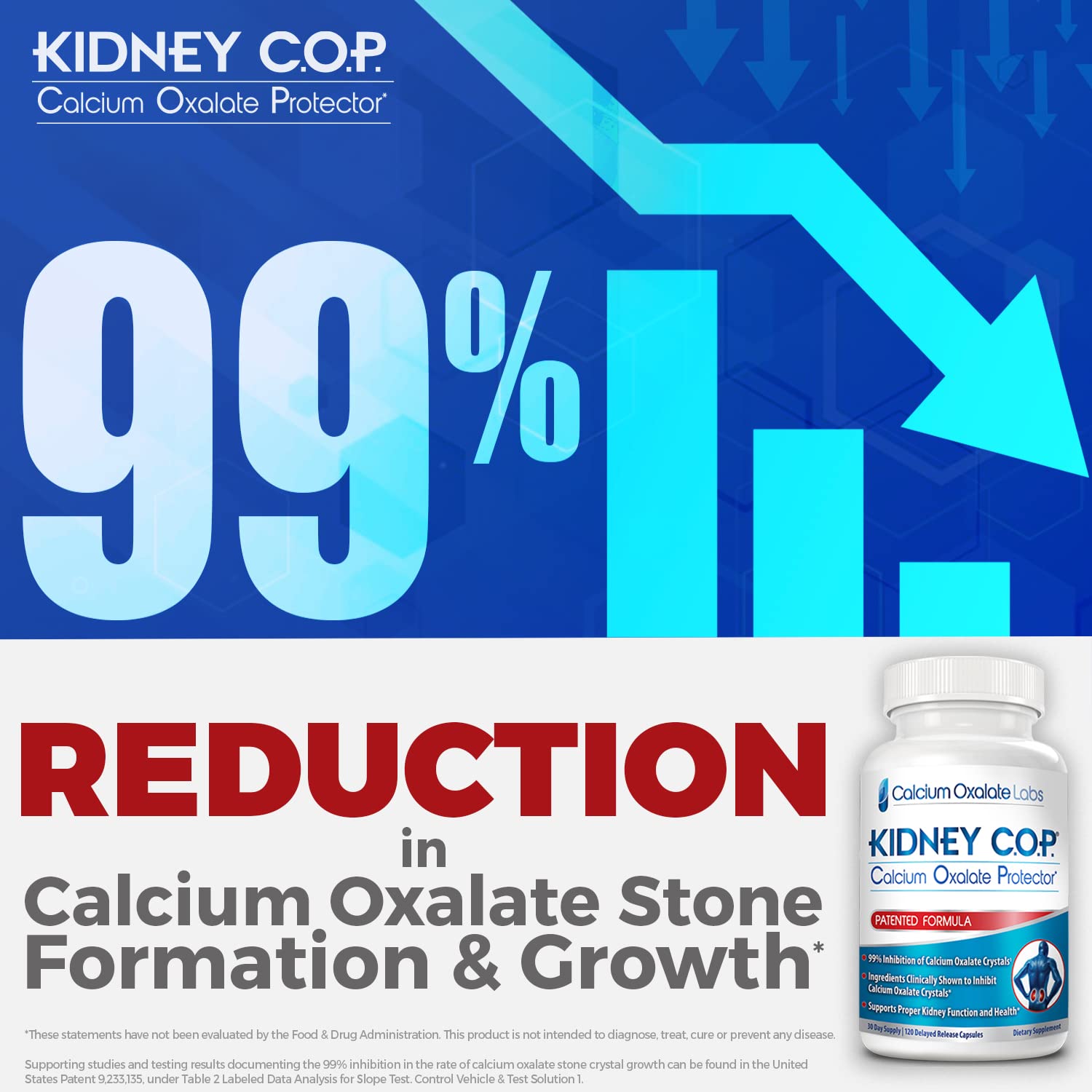 KIDNEY C.O.P. Calcium Oxalate Protector 120 Capsules — Kidney Stone Support (6 Pack)