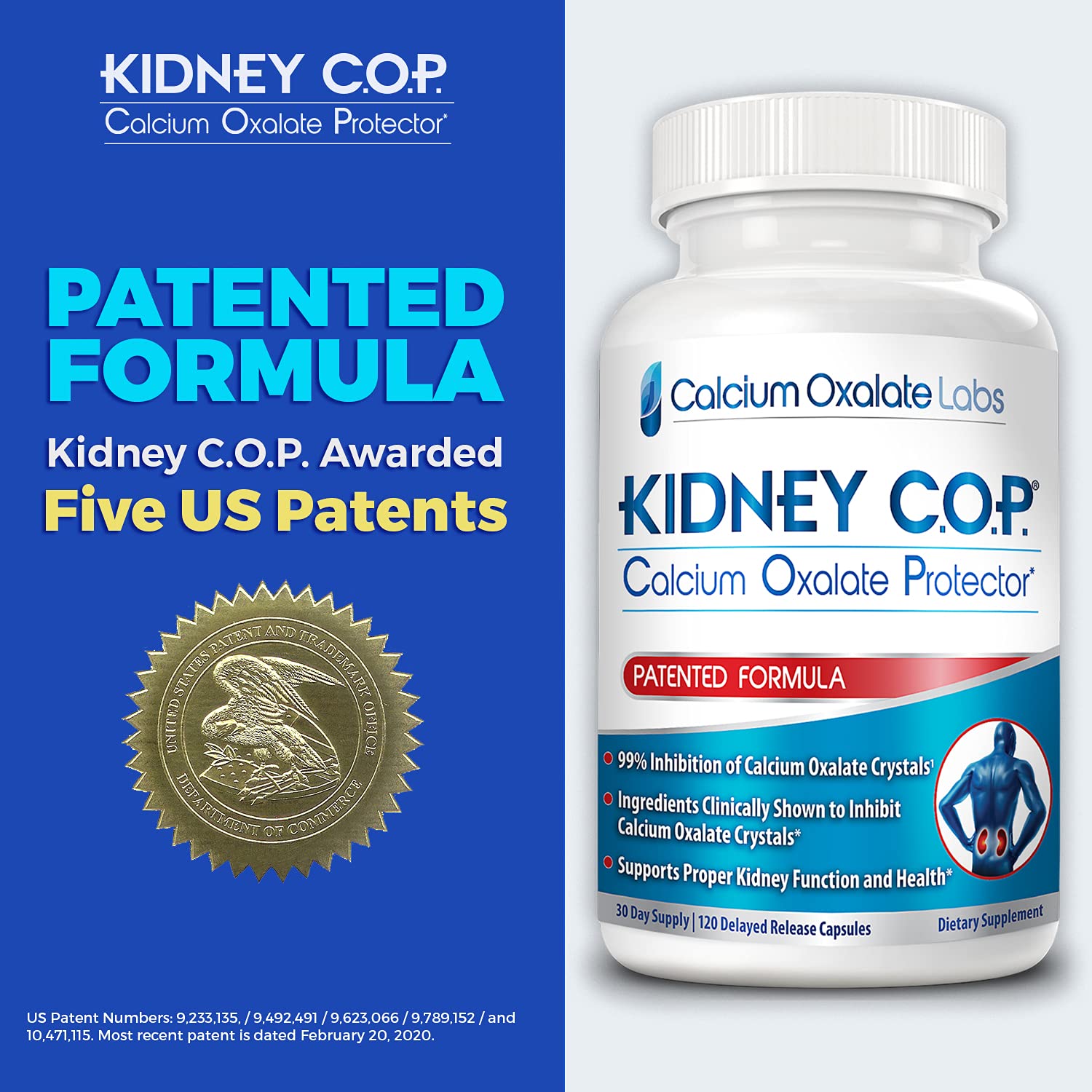 KIDNEY C.O.P. Calcium Oxalate Protector 120 Capsules — Kidney Stone Support (6 Pack)