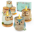 Kinforse Scented Candles Gift Set - 6-Pack Owl Aromatherapy Candles for Women | Birthday & Holiday Gifts