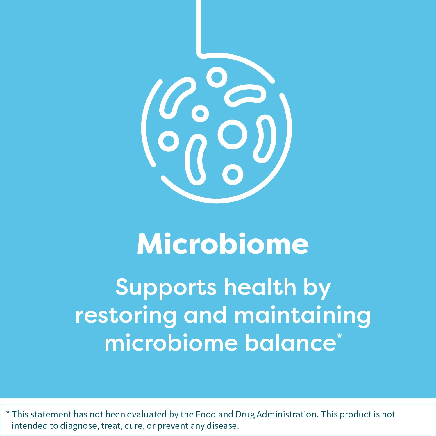 BioSpora Probiotic by SFI Health — Bacillus Coagulans & Subtilis, 2B CFU, Shelf-Stable