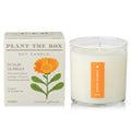 KOBO Catalan Calendula Candle with Plantable Box - 9 oz, 100% Soy, Hand-Poured in USA