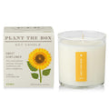 KOBO Sweet Sunflower Candle with Plantable Box (9 oz) | Plant The Box Collection | 100% Pure Soy Wax
