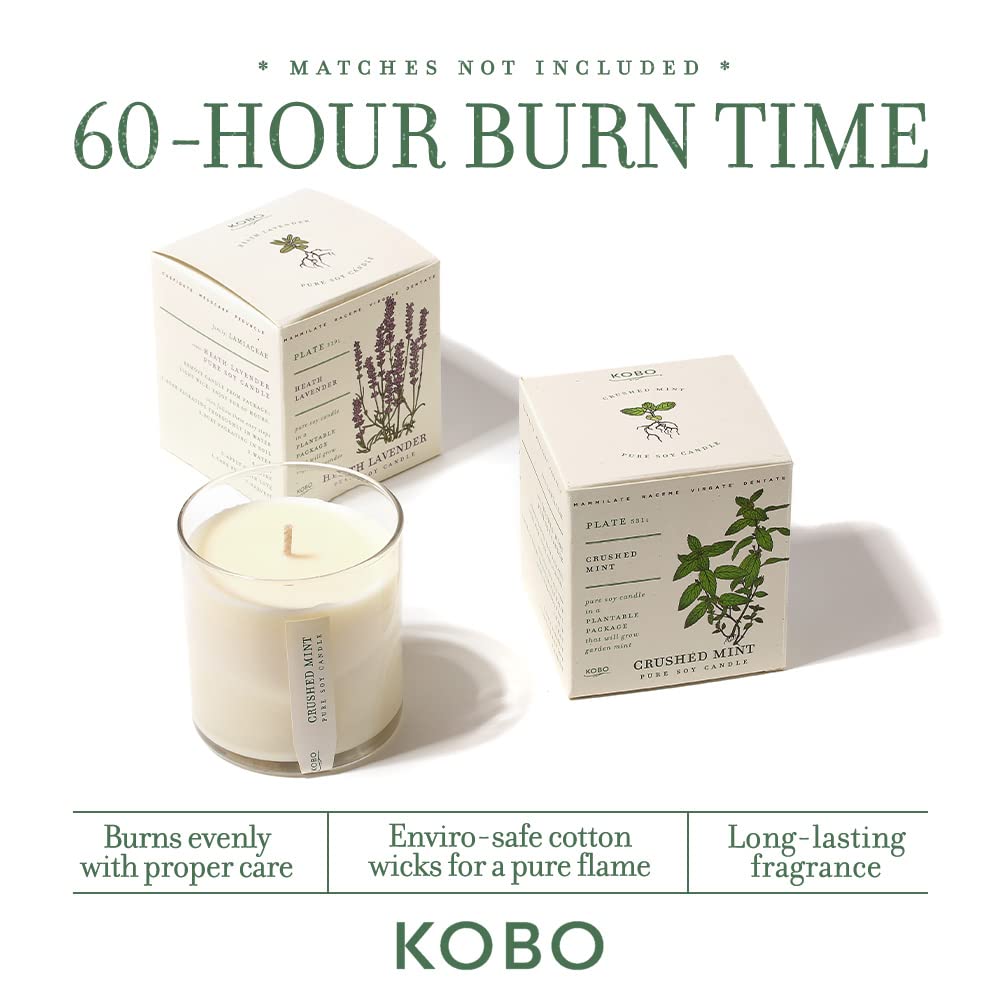 KOBO Sweet Sunflower Candle with Plantable Box (9 oz) | Plant The Box Collection | 100% Pure Soy Wax