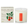 KOBO Wild Tomato Vine Candle | Plantable Box | 9 oz Soy Wax
