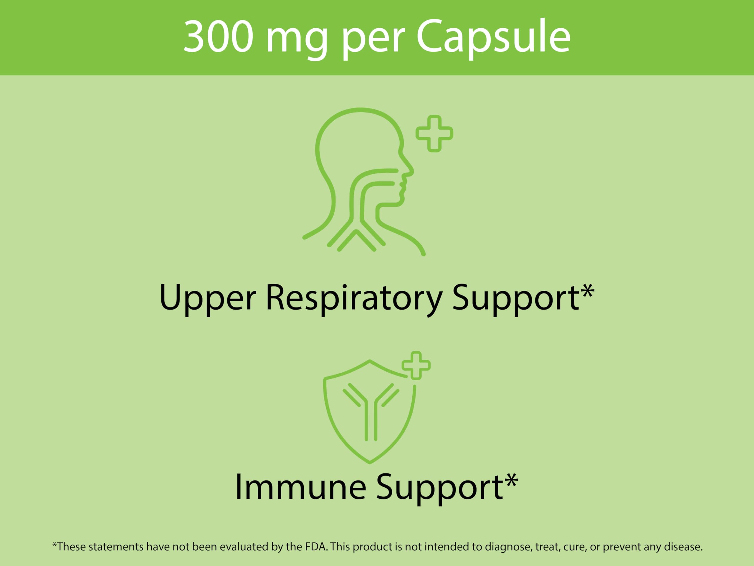 KOYAH Organic Stinging Nettle Leaf Capsules – Freeze-Dried 300 mg (2,400 mg Fresh) – Immune & Respiratory Support – 60 Capsules