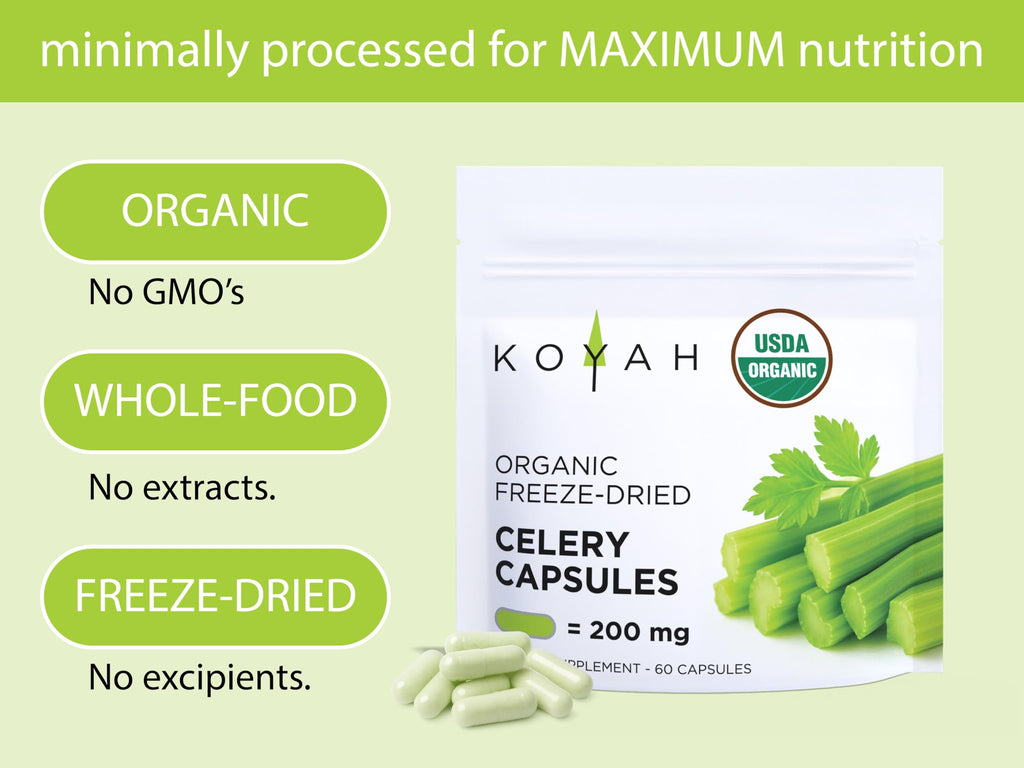 KOYAH Organic Celery Capsules – 200 mg Freeze-Dried Whole-Stalk Powder | 60 Vegan Capsules | USDA Organic