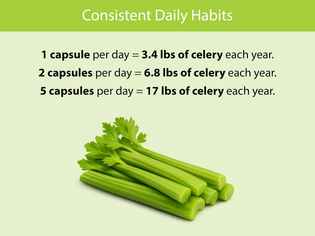 KOYAH Organic Celery Capsules – 200 mg Freeze-Dried Whole-Stalk Powder | 60 Vegan Capsules | USDA Organic