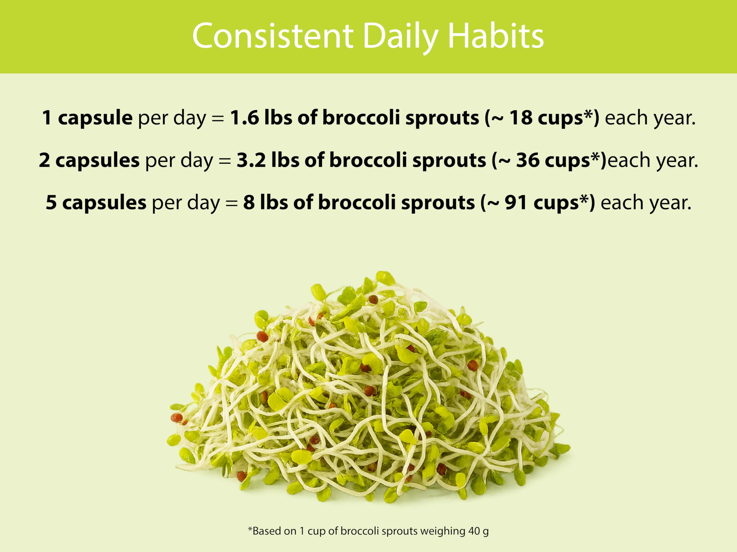 KOYAH Organic Broccoli Sprout Capsules – Freeze-Dried Whole Sprouts, Active Myrosinase & Glucoraphanin, USA Grown, 150 Capsules