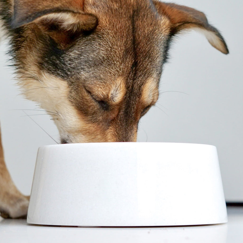 White Crystal Marble Dog Bowl