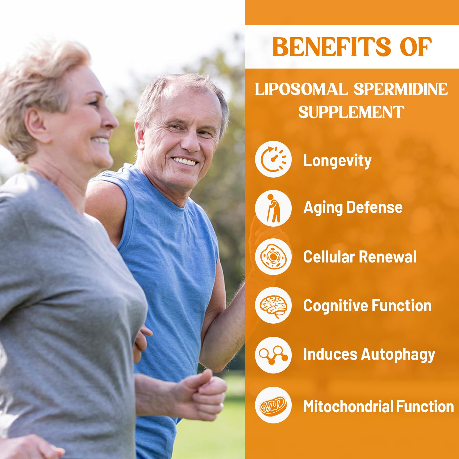 30mg Spermidine – Longevity, High Absorption Liposomal, 120 Softgels